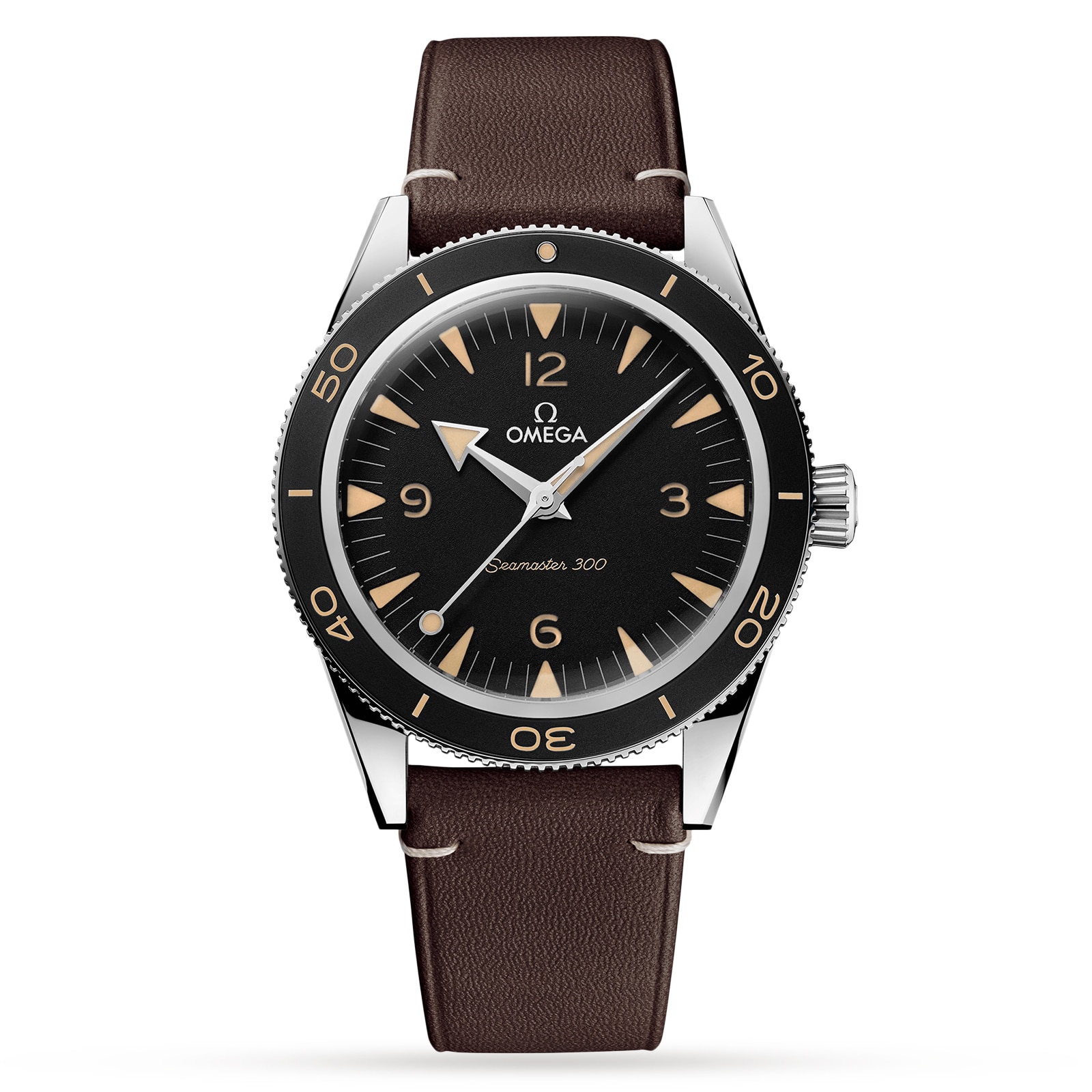 Omega Seamaster 300 Co-Axial Master Chronometer 41mm Mens Watch-P17331796