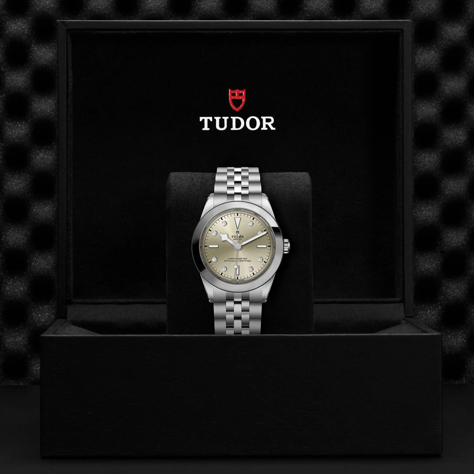 TUDOR Black Bay One 39 Men's