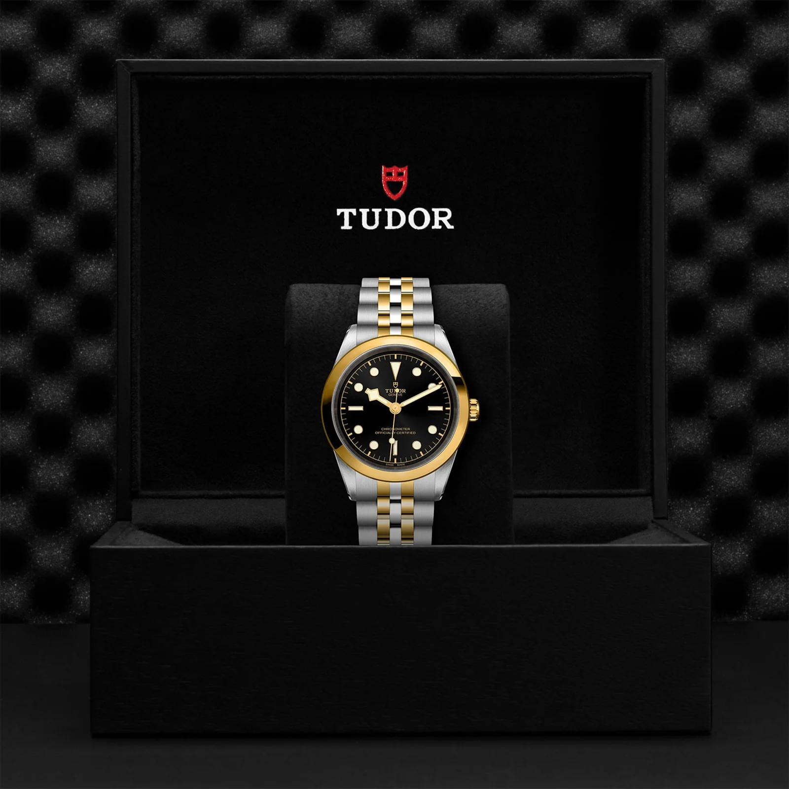 TUDOR Black Bay One 41 S&G Men's