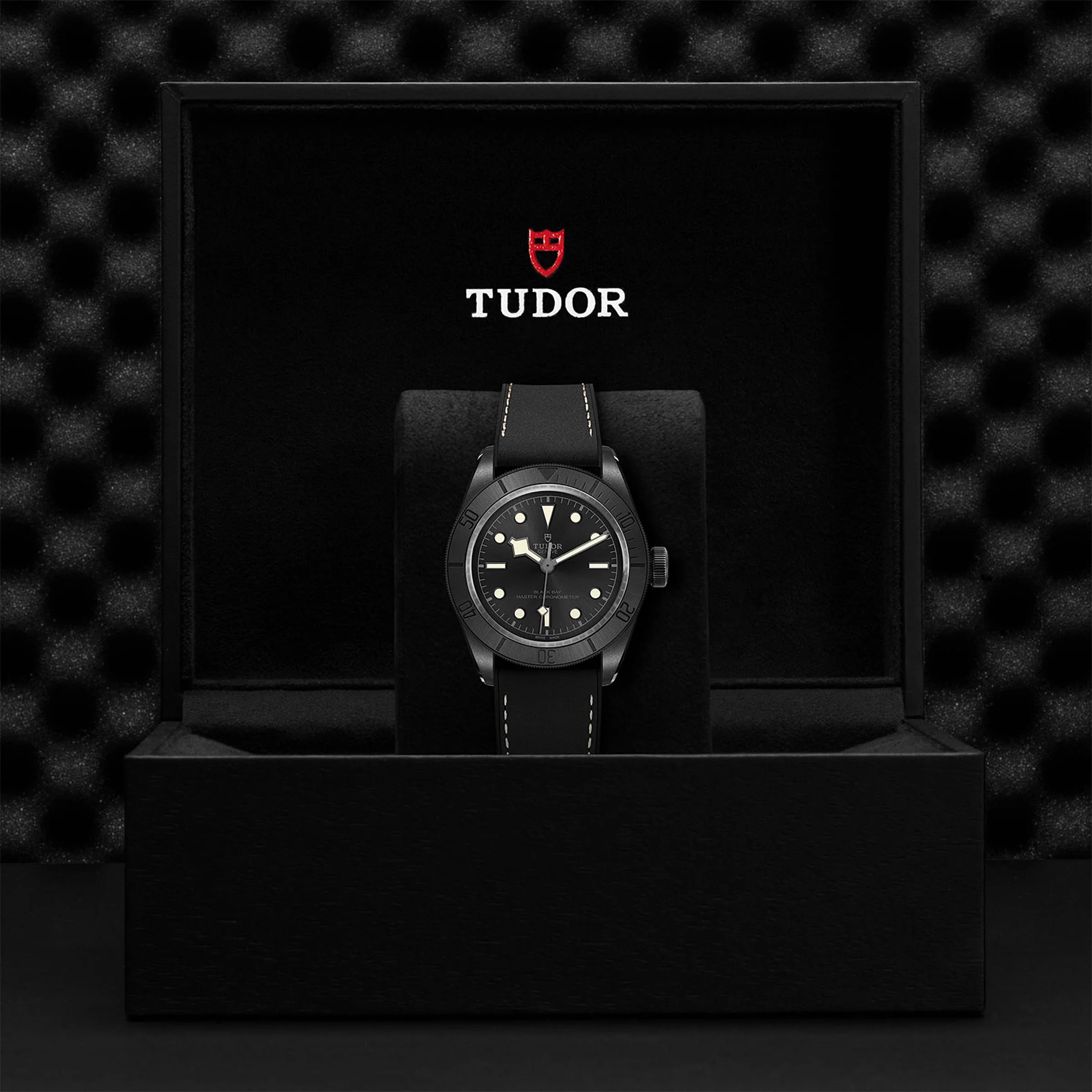 TUDOR Black Bay Ceramic Men's
