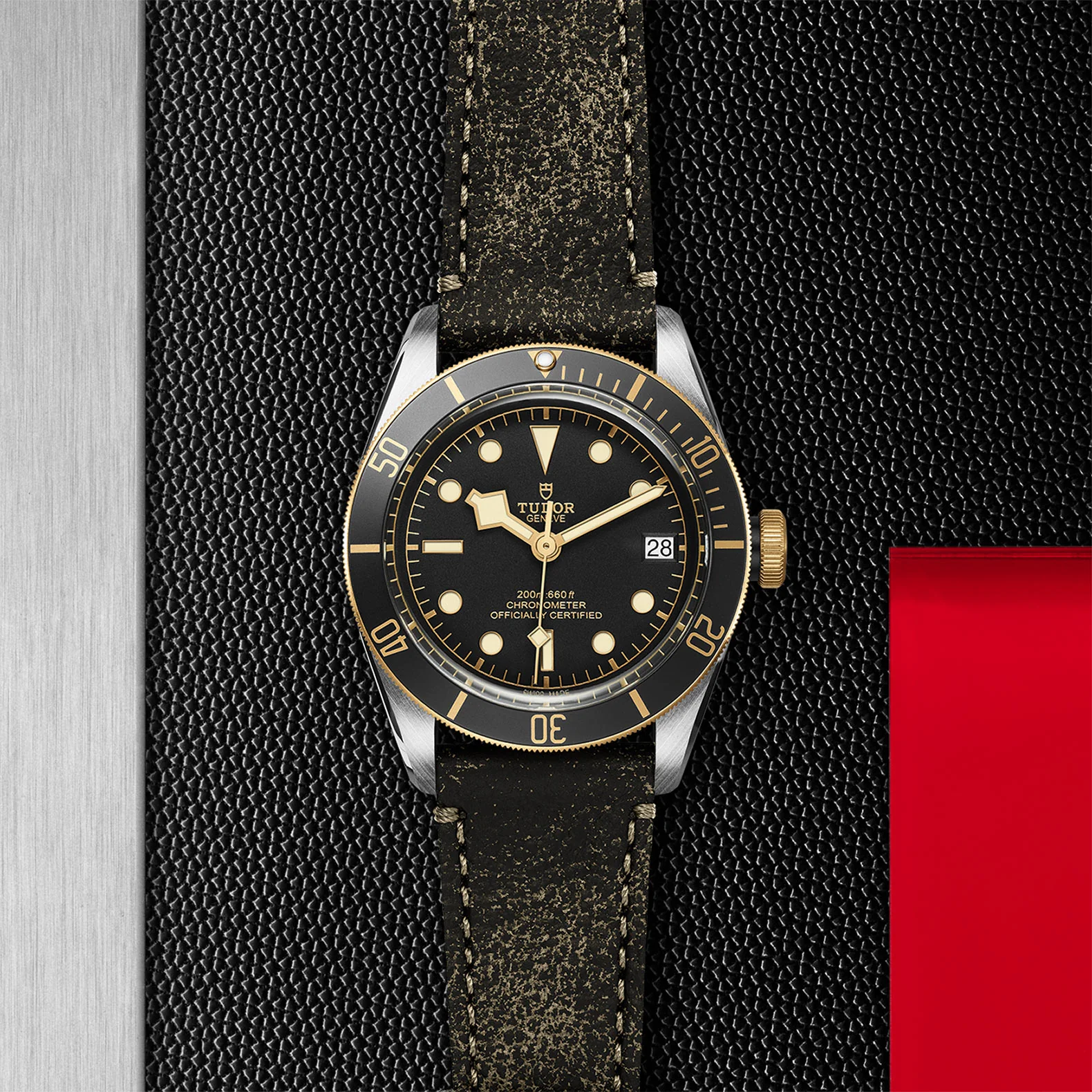 TUDOR Black Bay S&G Men's