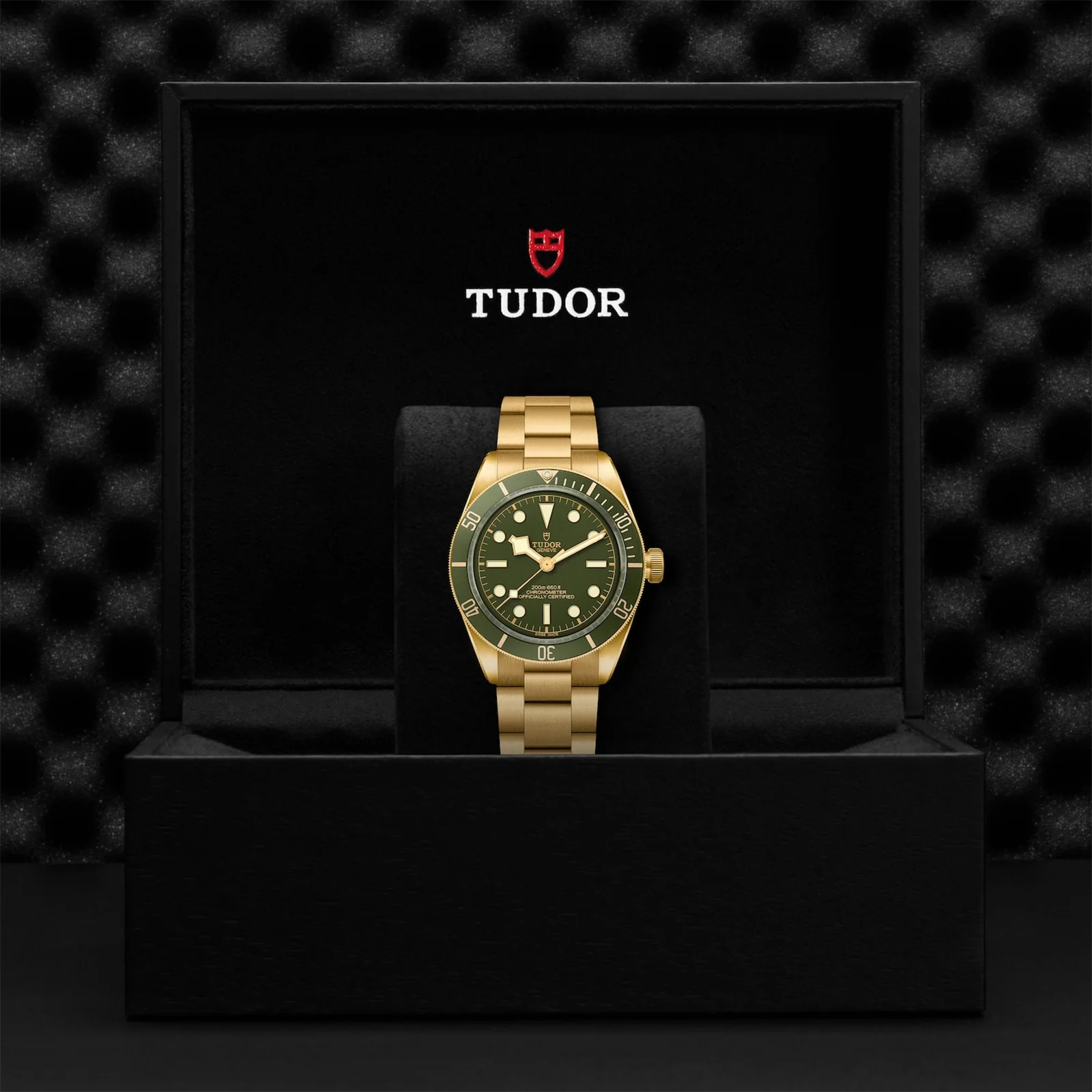 TUDOR Black Bay 58 18K Men's