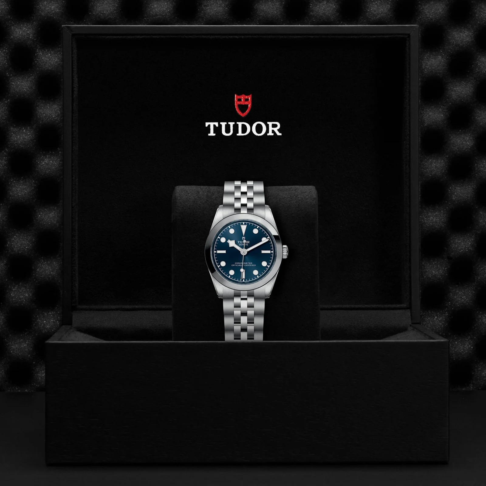 TUDOR Black Bay One 31 Women's