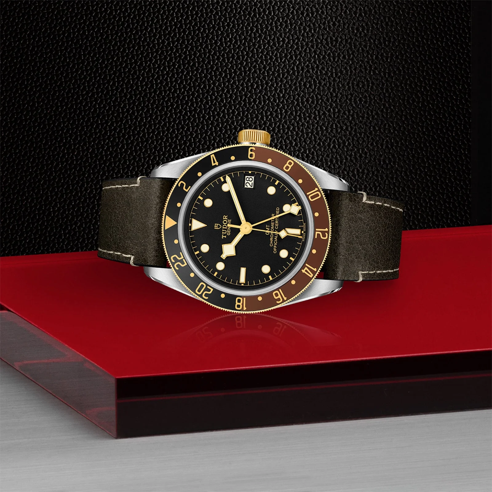 TUDOR Black Bay GMT S&G Men's