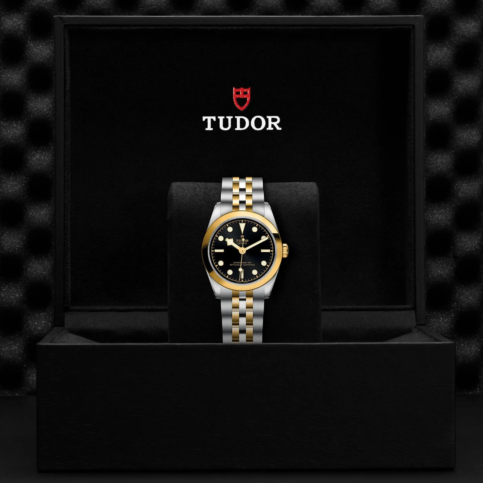 TUDOR Black Bay One 31 S&G Women's