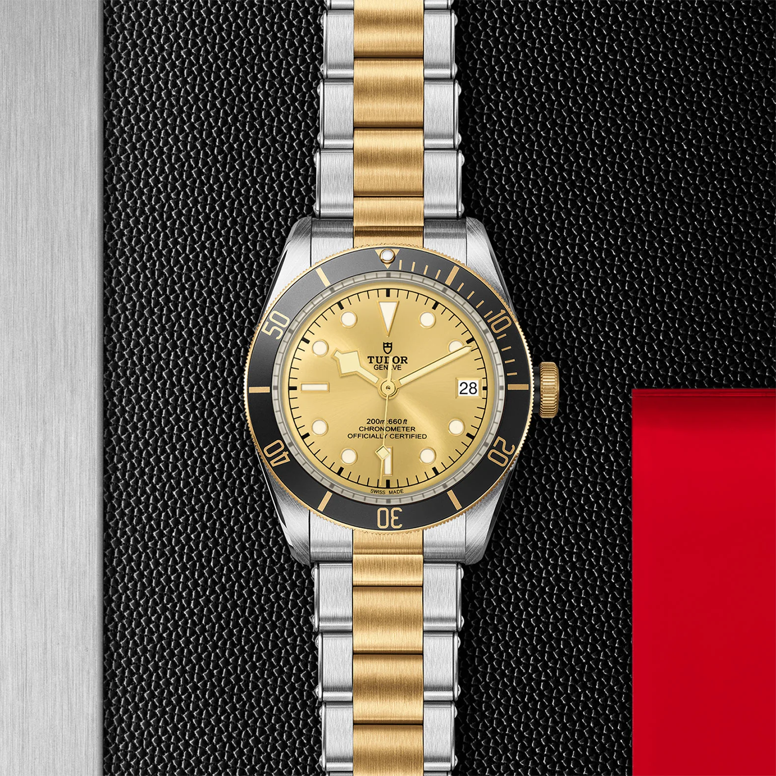TUDOR Black Bay S&G Men's