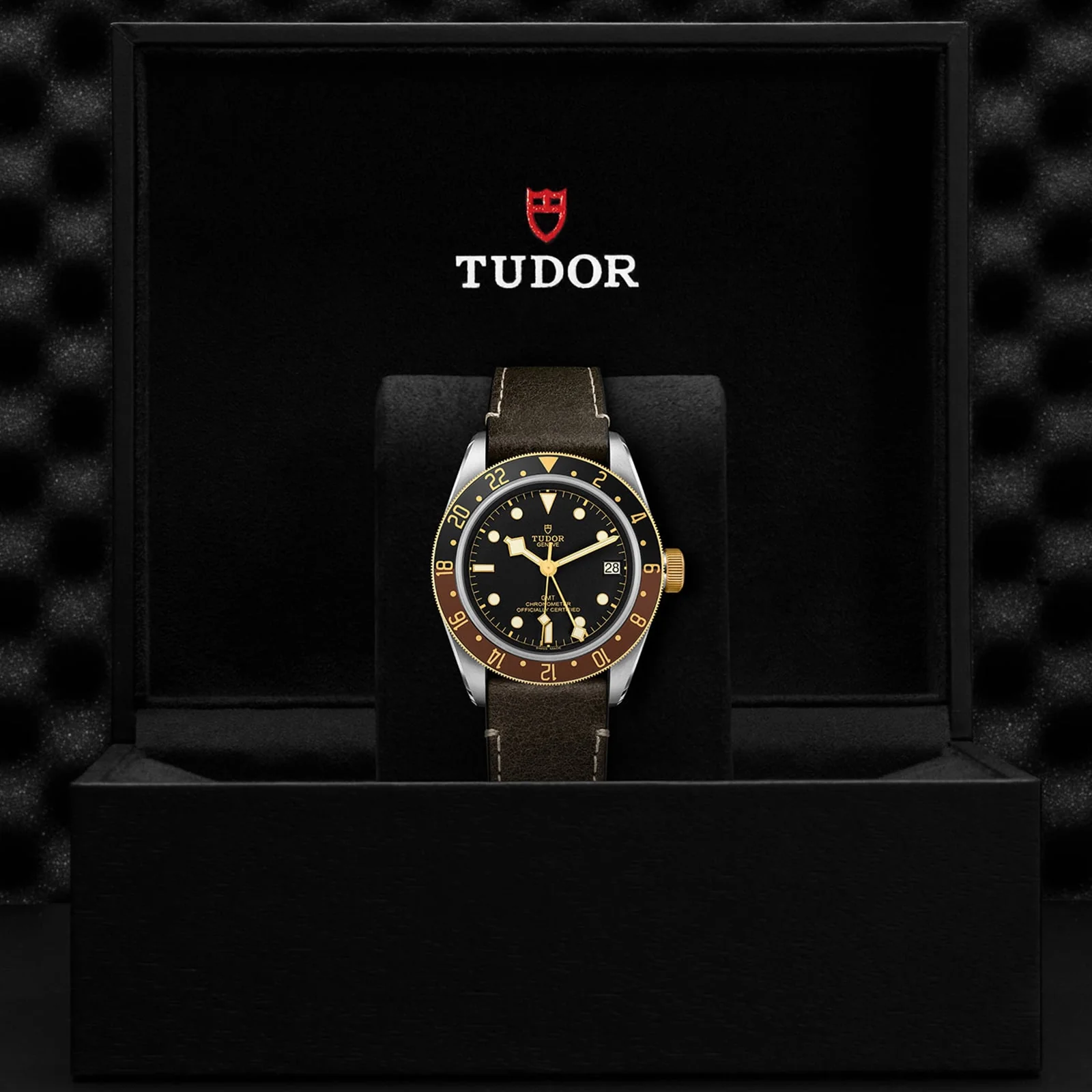 TUDOR Black Bay GMT S&G Men's