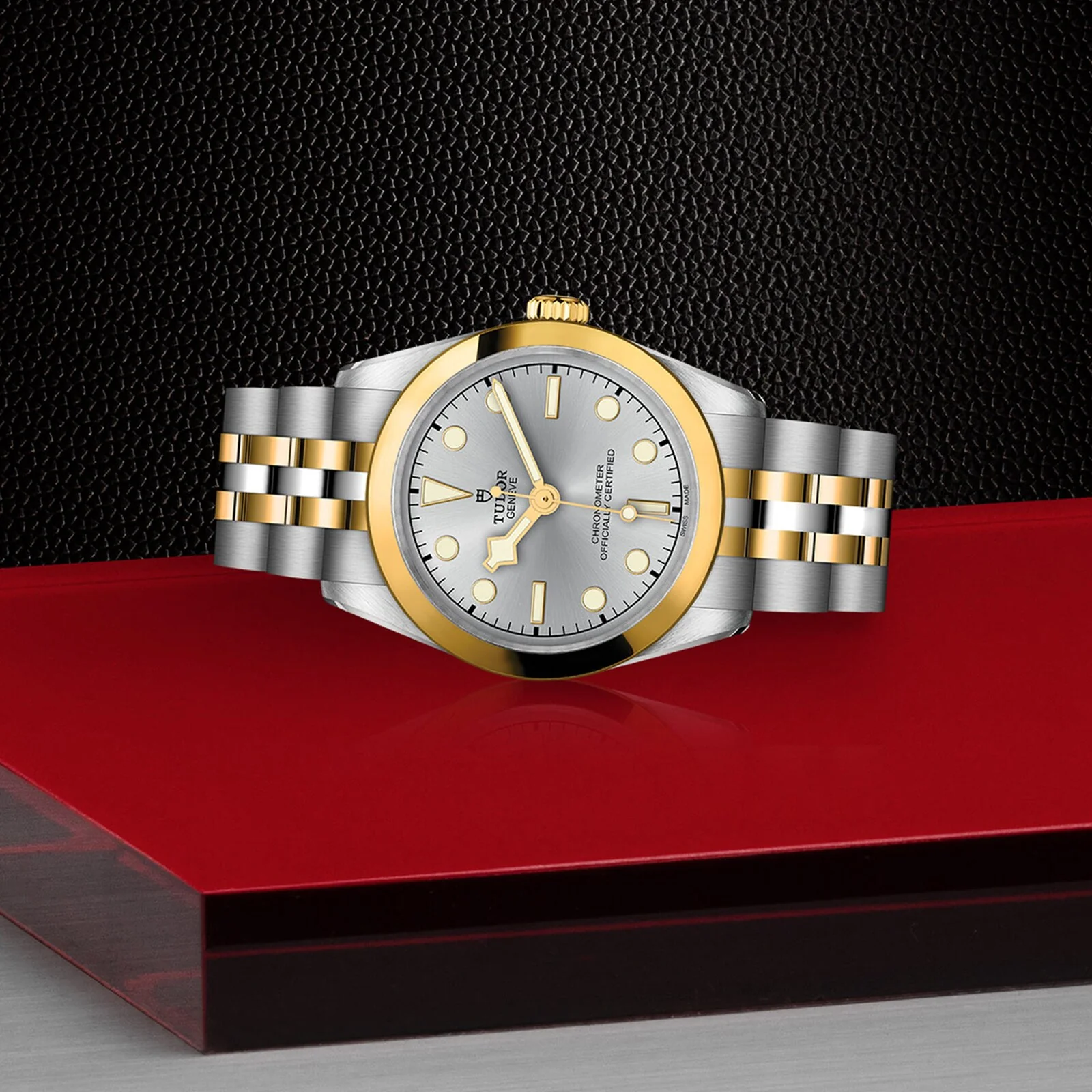 TUDOR Black Bay One 31 S&G Women's