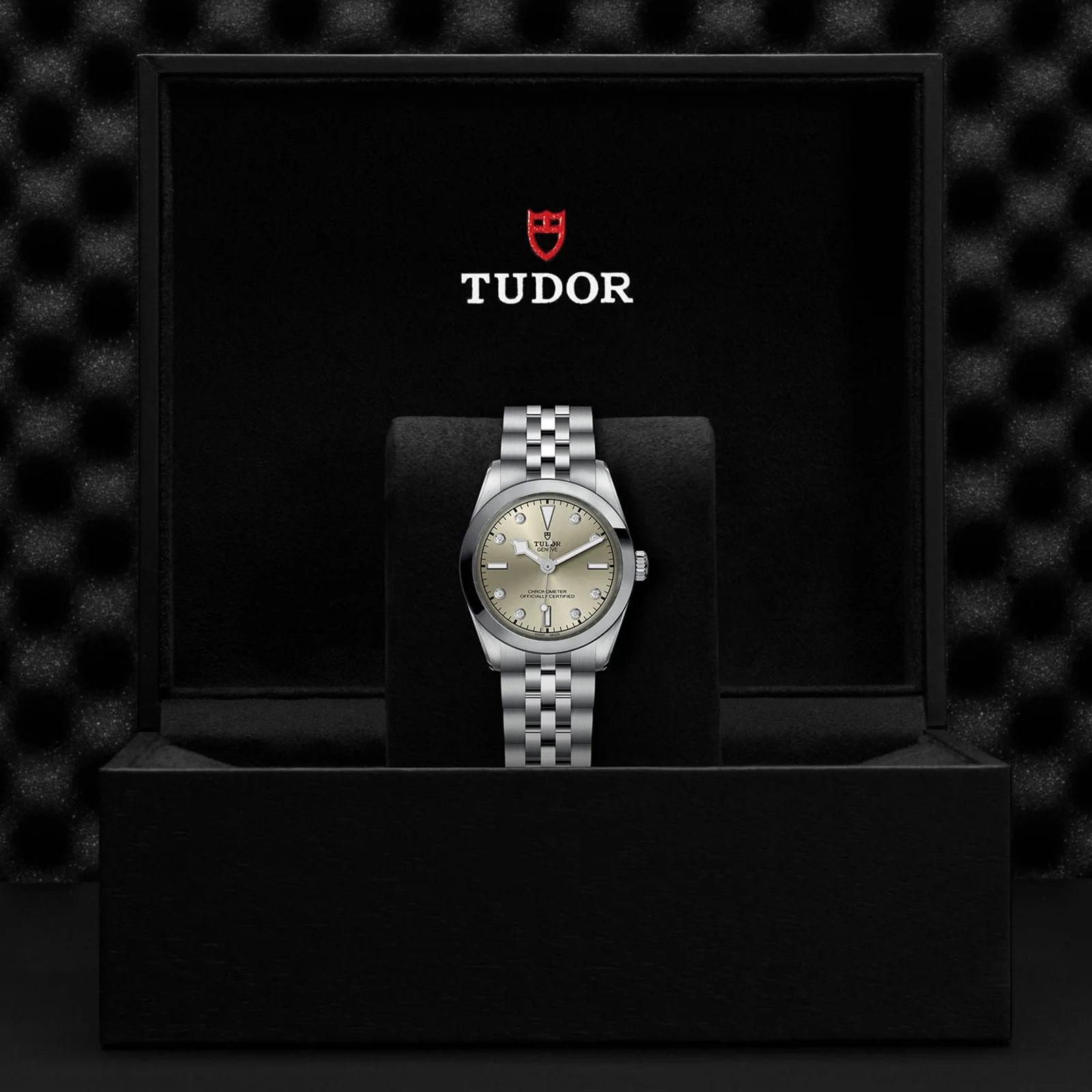TUDOR Black Bay One 31 Women's