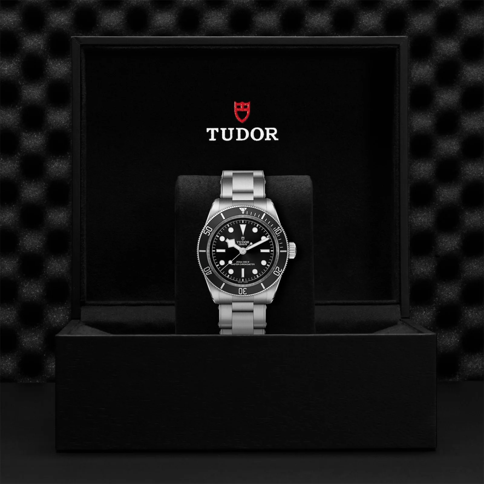 TUDOR Black Bay Men's