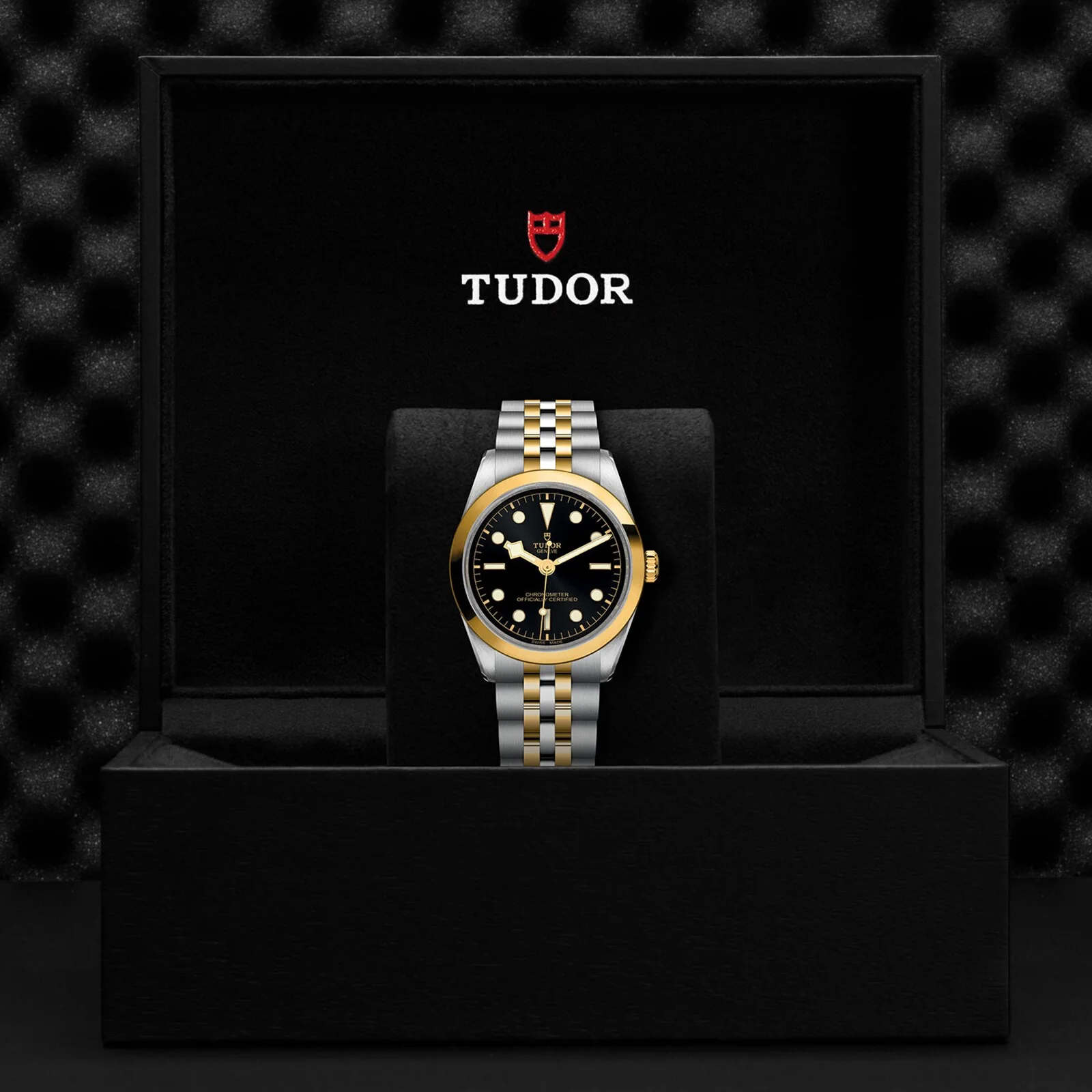 TUDOR Black Bay One 36 S&G Women's