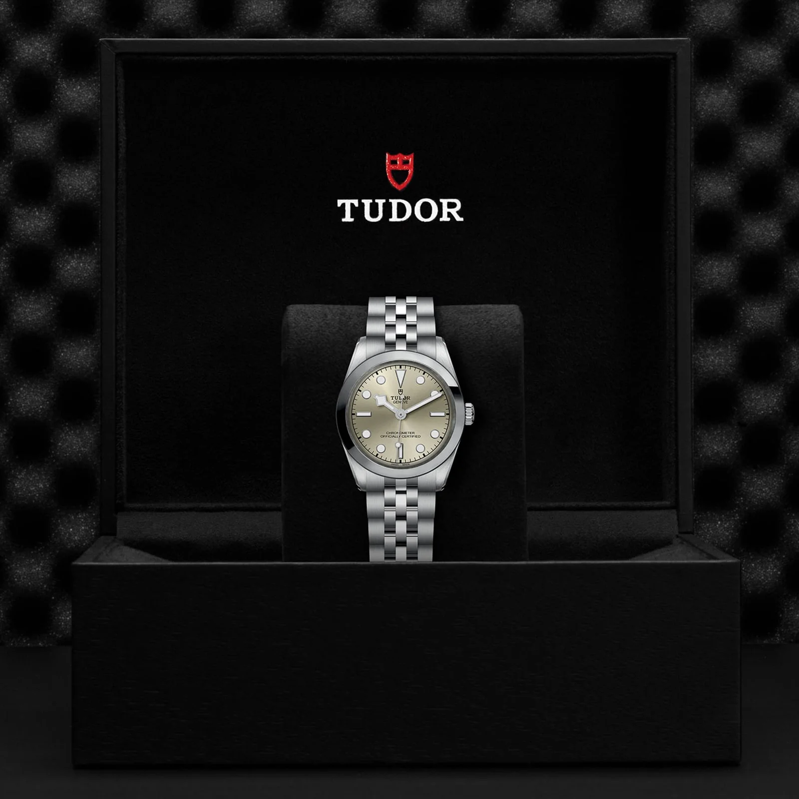 TUDOR Black Bay One 31 Women's