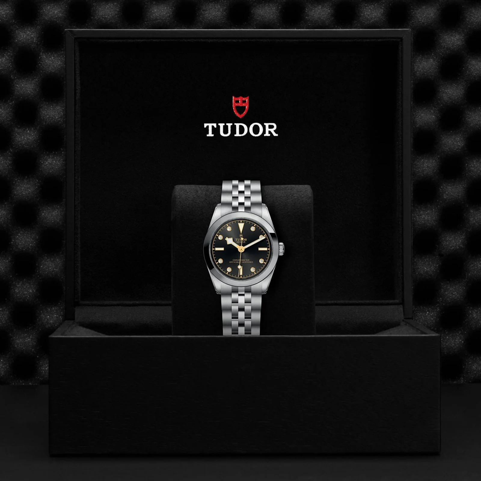 TUDOR Black Bay 31 Women's