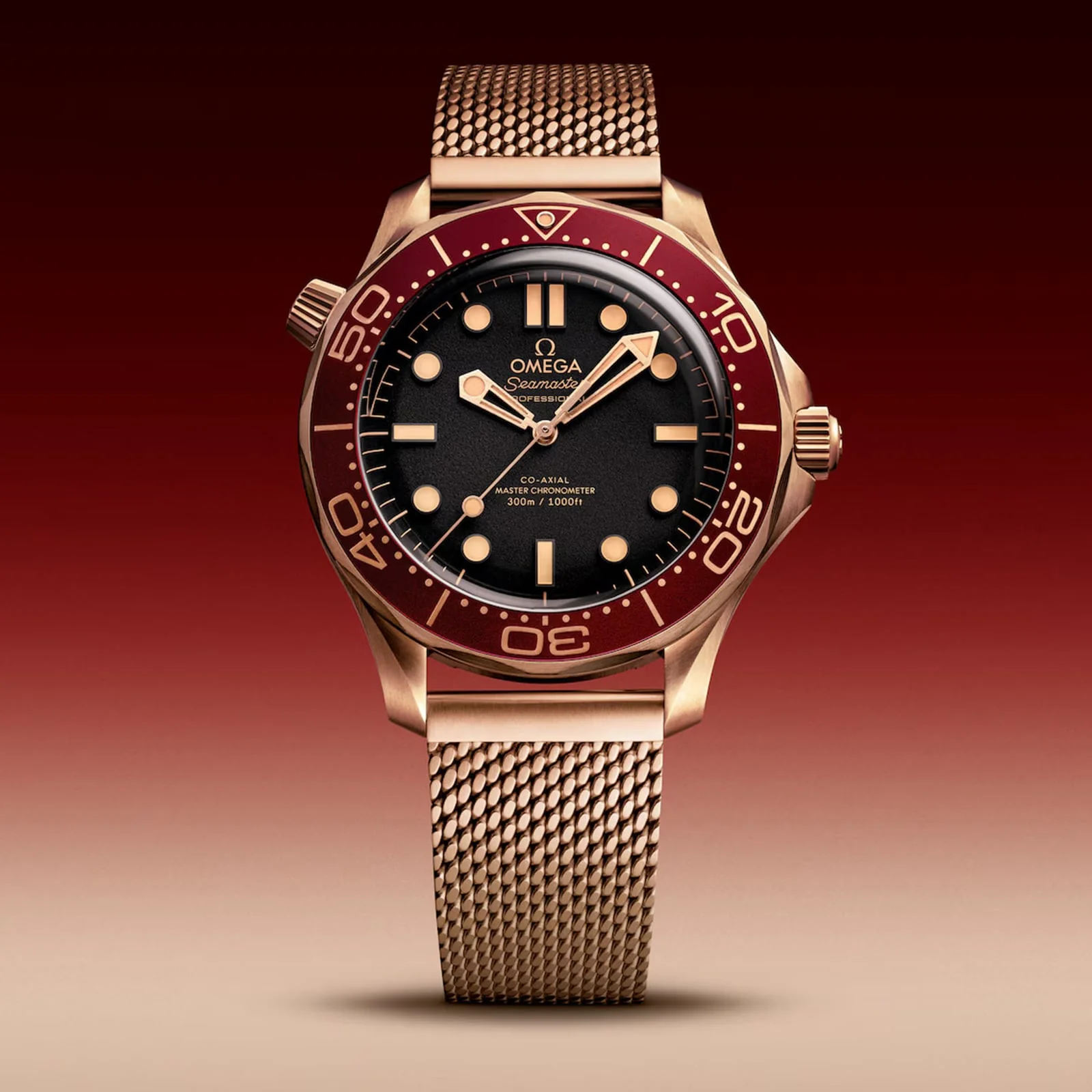 OMEGA Seamaster Diver 300M Men's