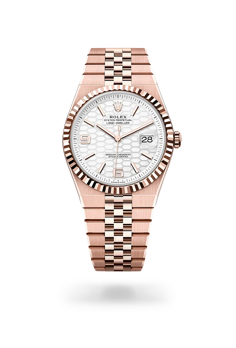 Rolex Land-Dweller 40 in 18 kt Everose gold, M127335-0001 | Walters & Hogsett