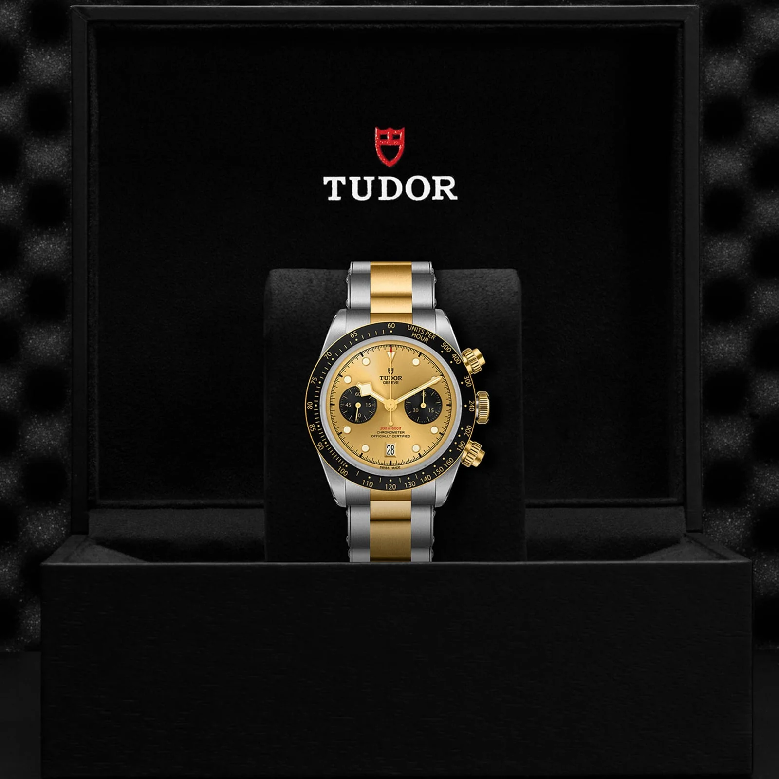 TUDOR Black Bay Chrono S&G Men's