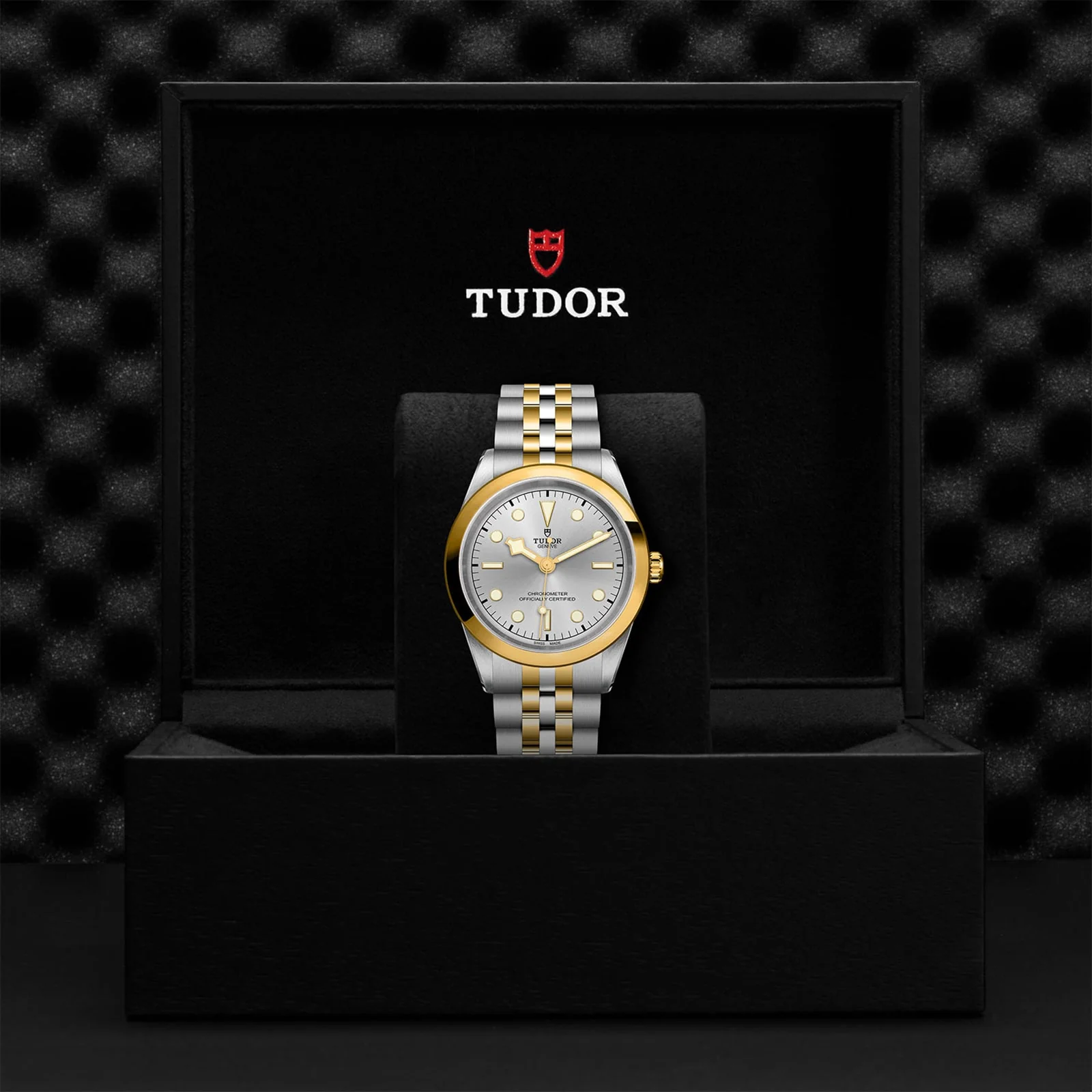 TUDOR Black Bay One 41 S&G Men's
