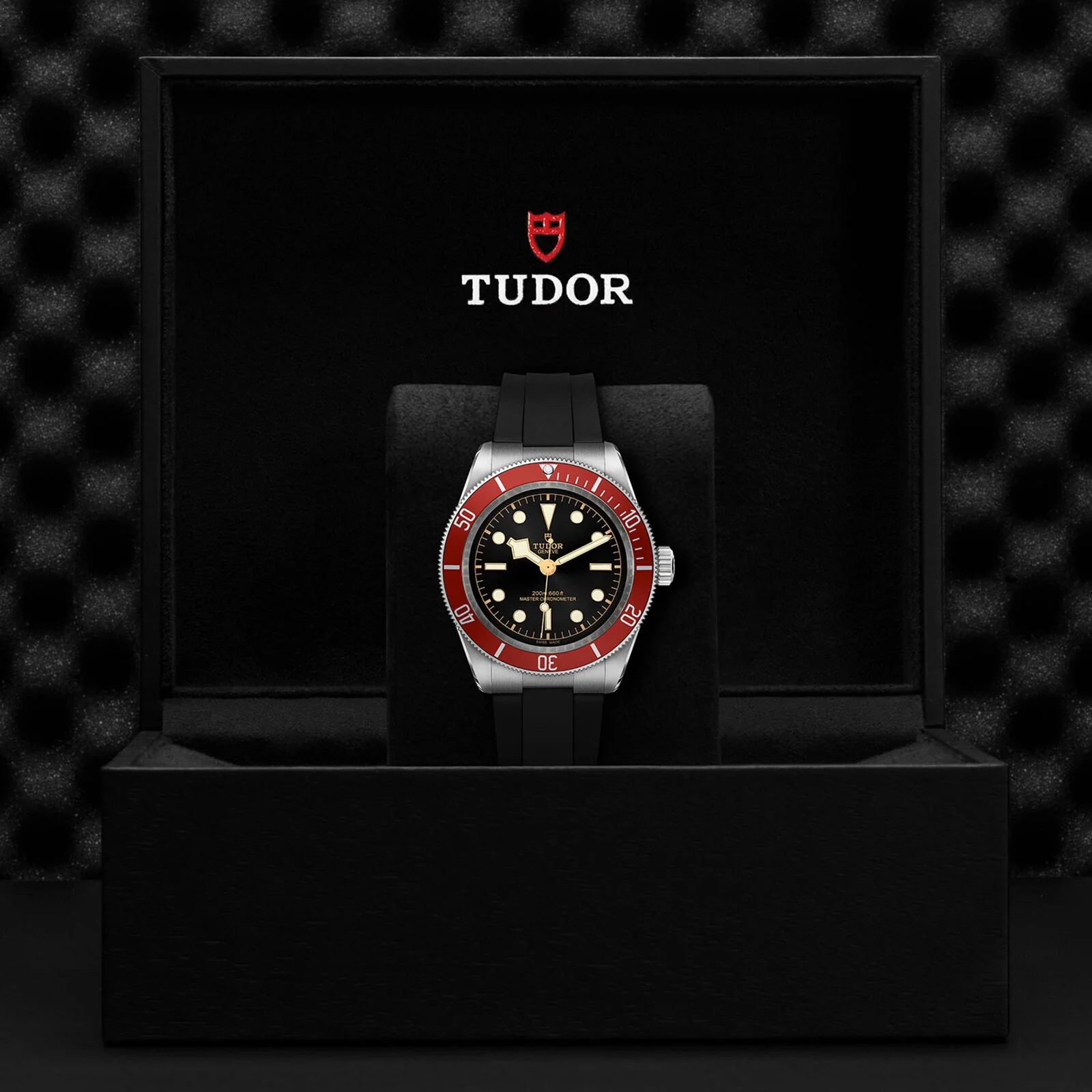 TUDOR Black Bay Men's