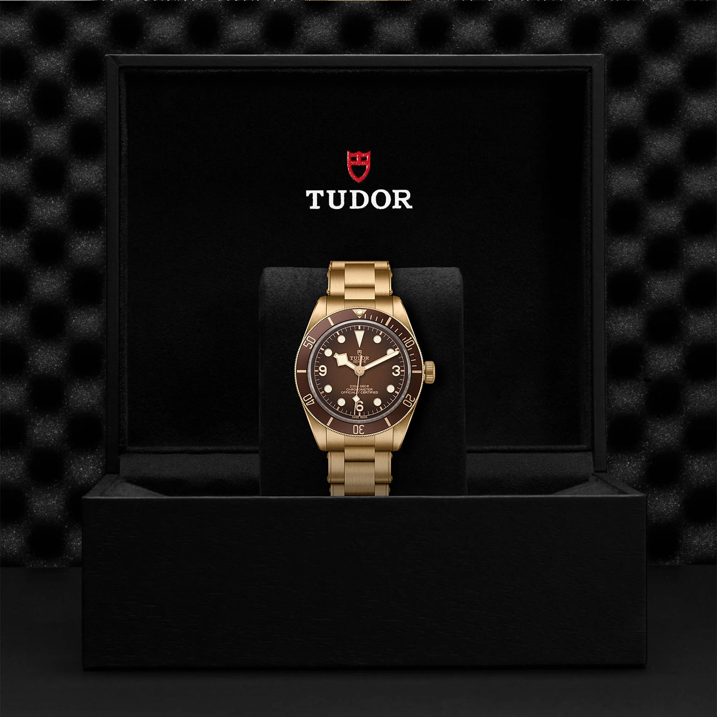 TUDOR Black Bay 58 Bronze Men's