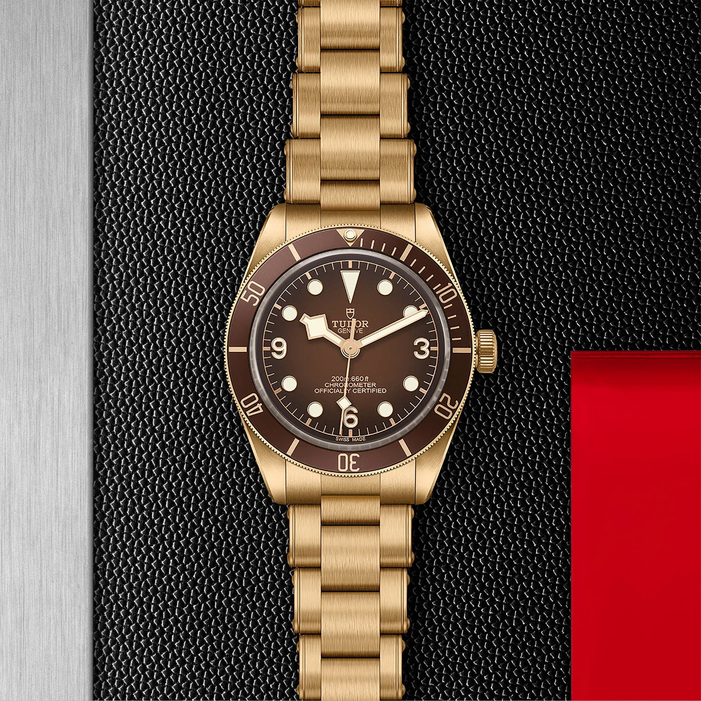 TUDOR Black Bay 58 Bronze Men's