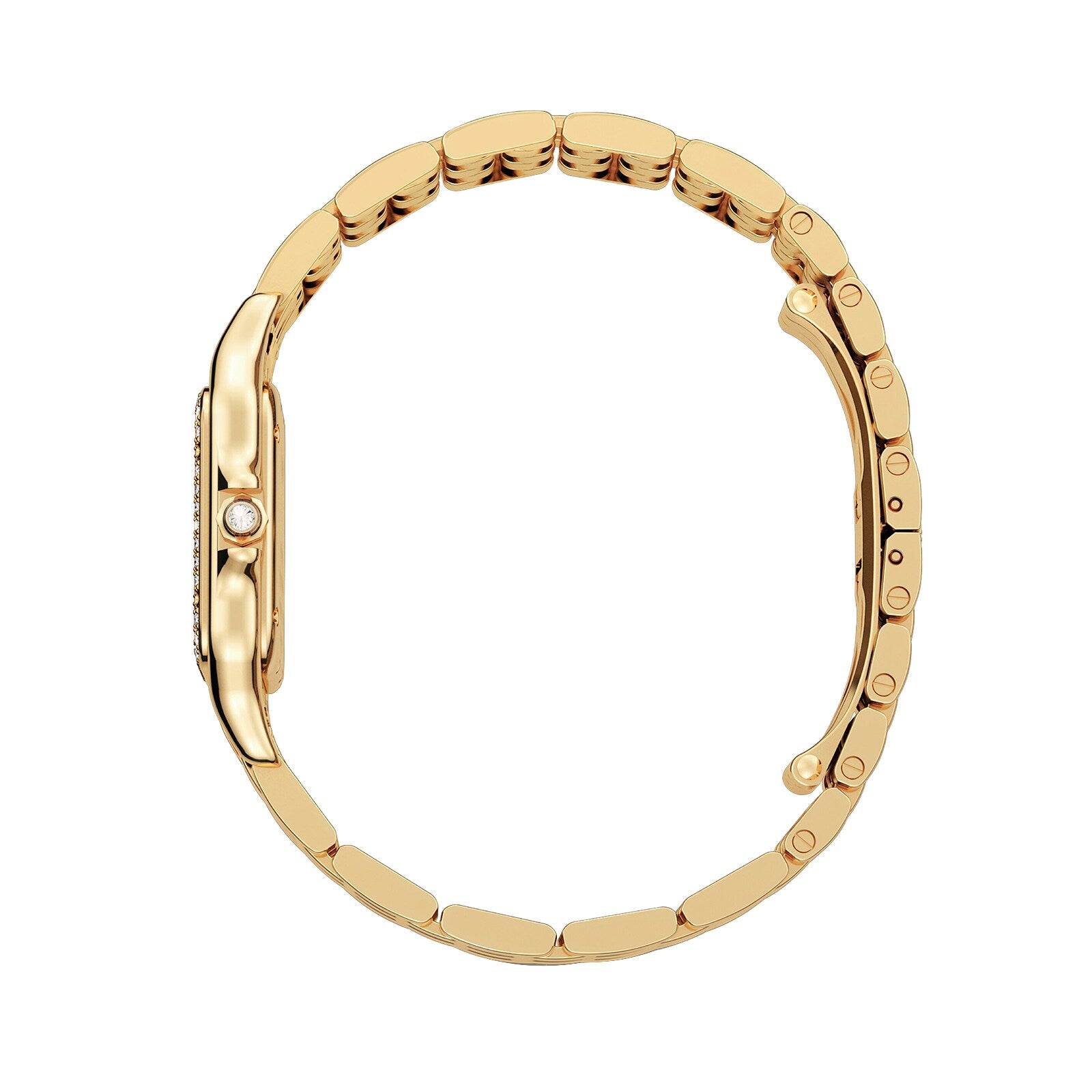 Panthère de Cartier