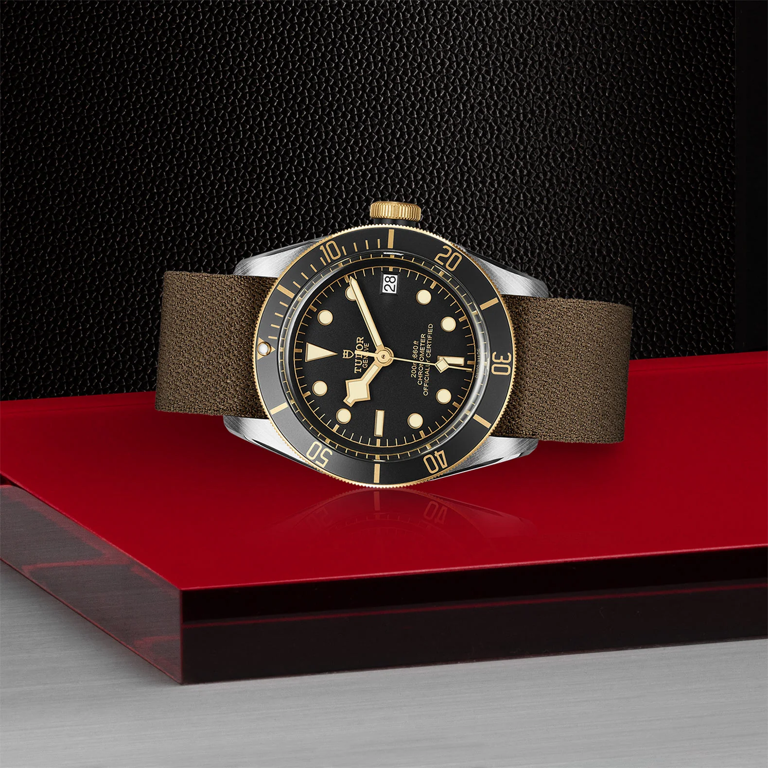 TUDOR Black Bay S&G Men's