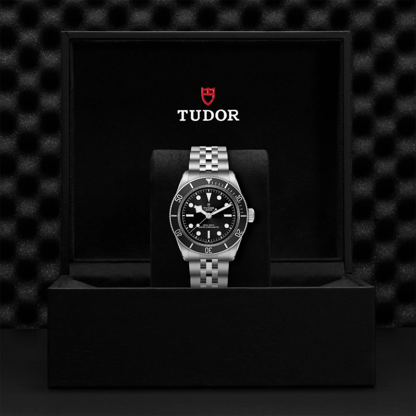 TUDOR Black Bay Men's