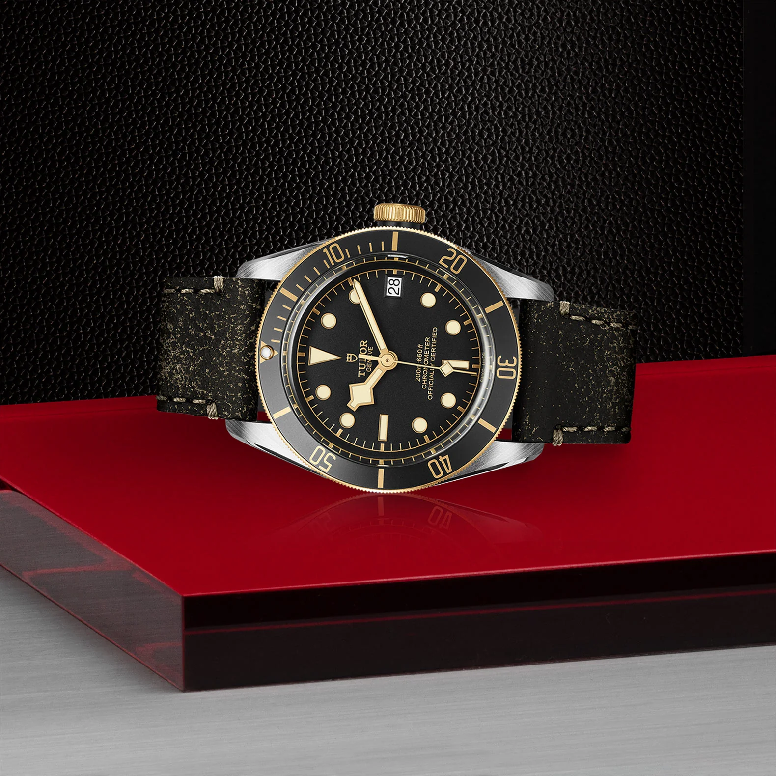 TUDOR Black Bay S&G Men's