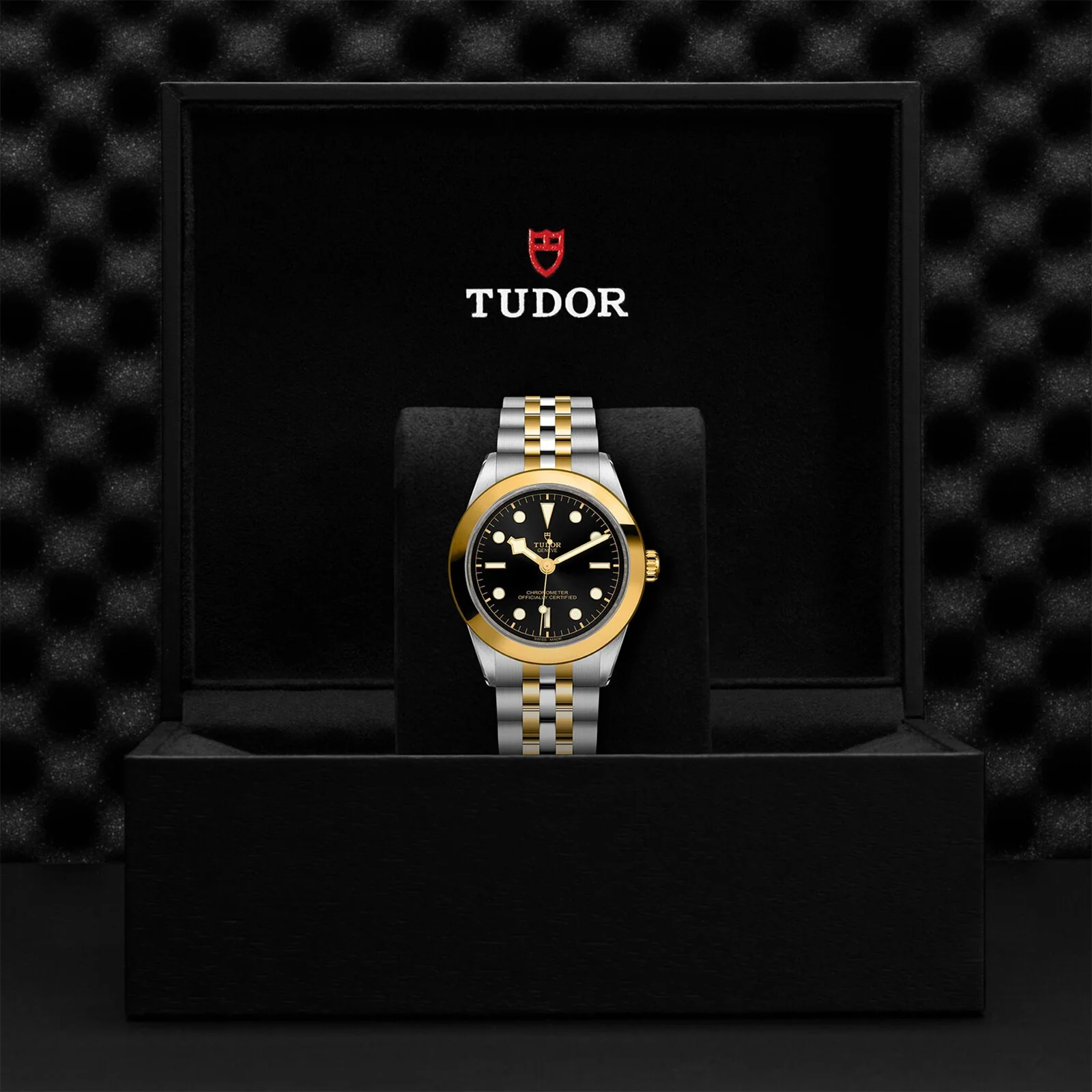 TUDOR Black Bay One 39 S&G Men's