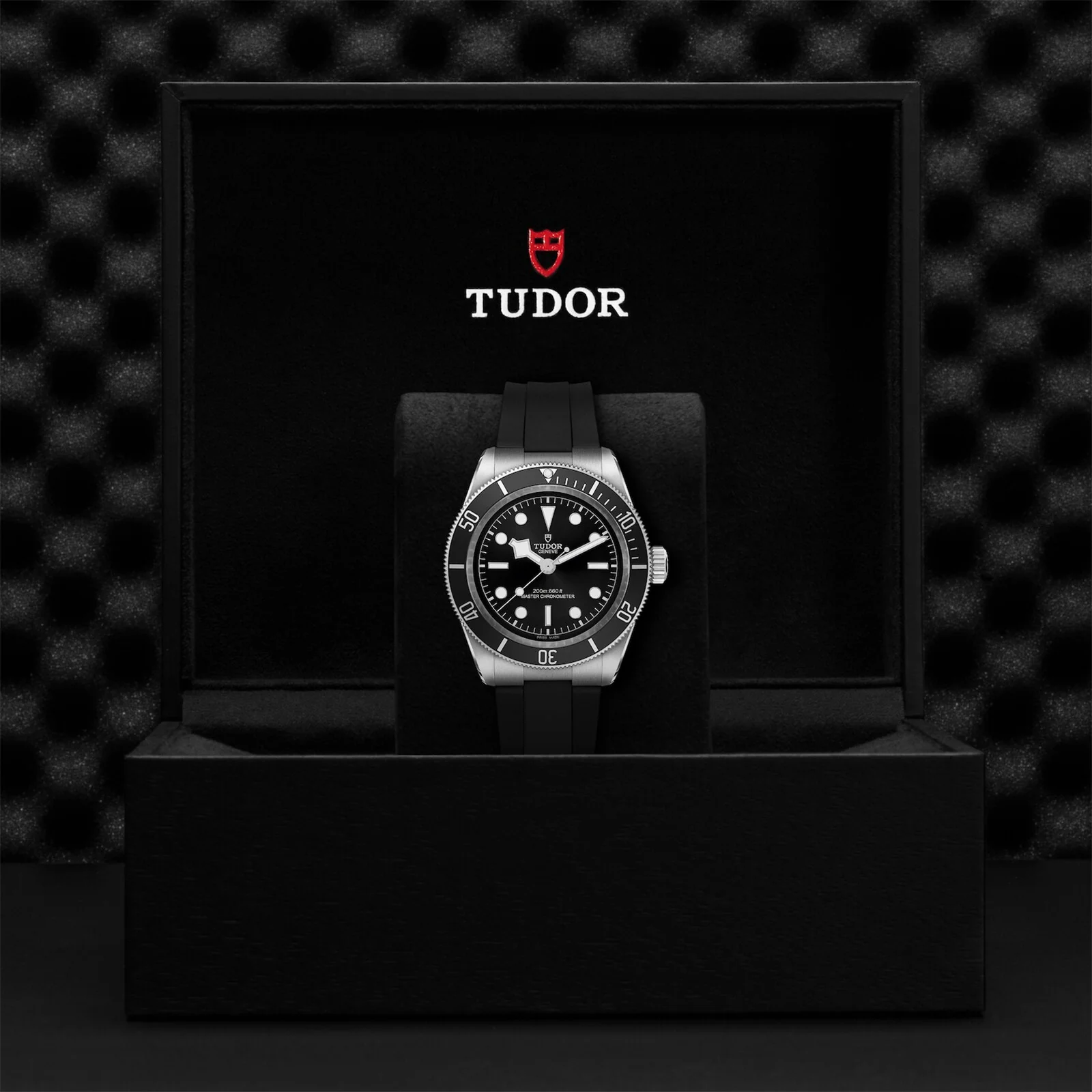 TUDOR Black Bay Men's