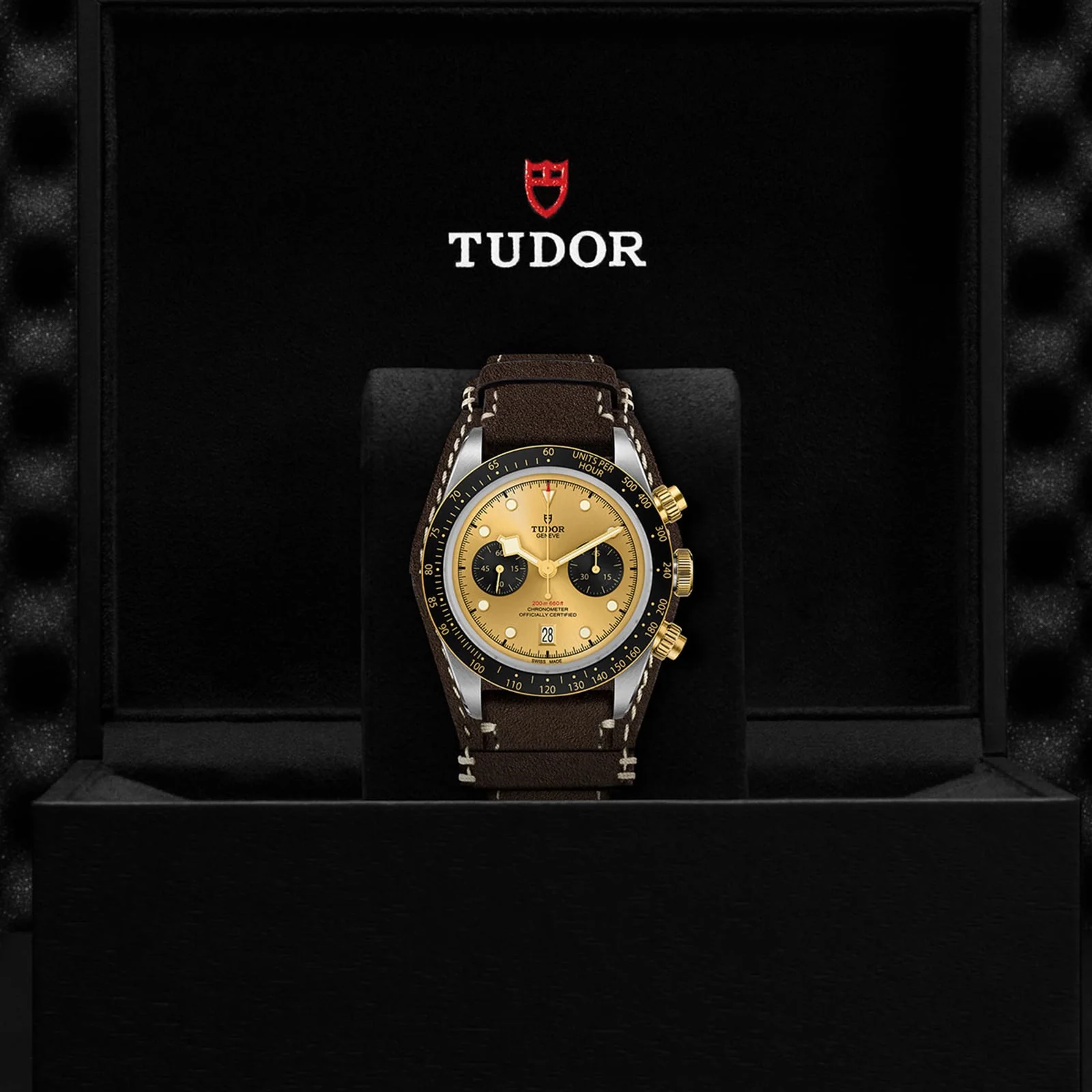 TUDOR Black Bay Chrono S&G Men's