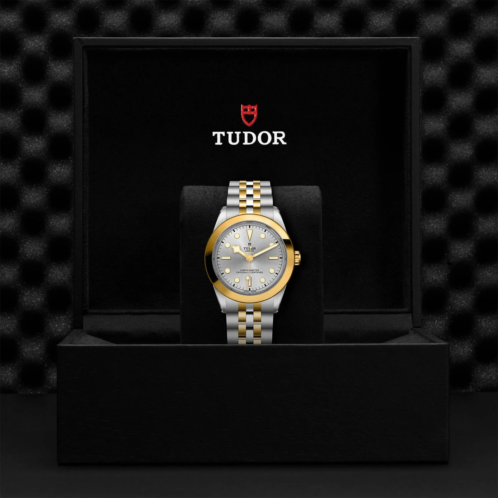 TUDOR Black Bay One 39 S&G Men's