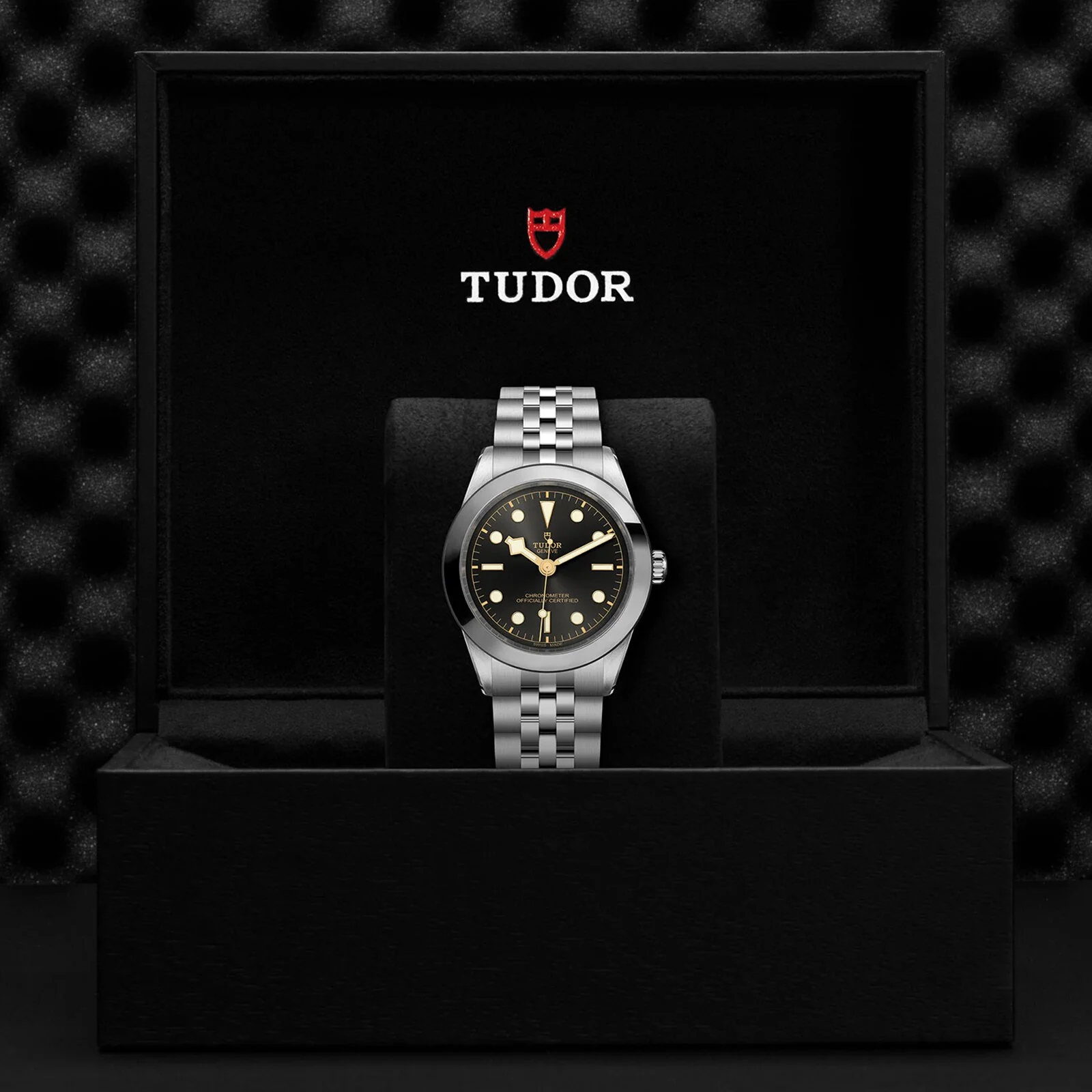 TUDOR Black Bay One 39 Men's
