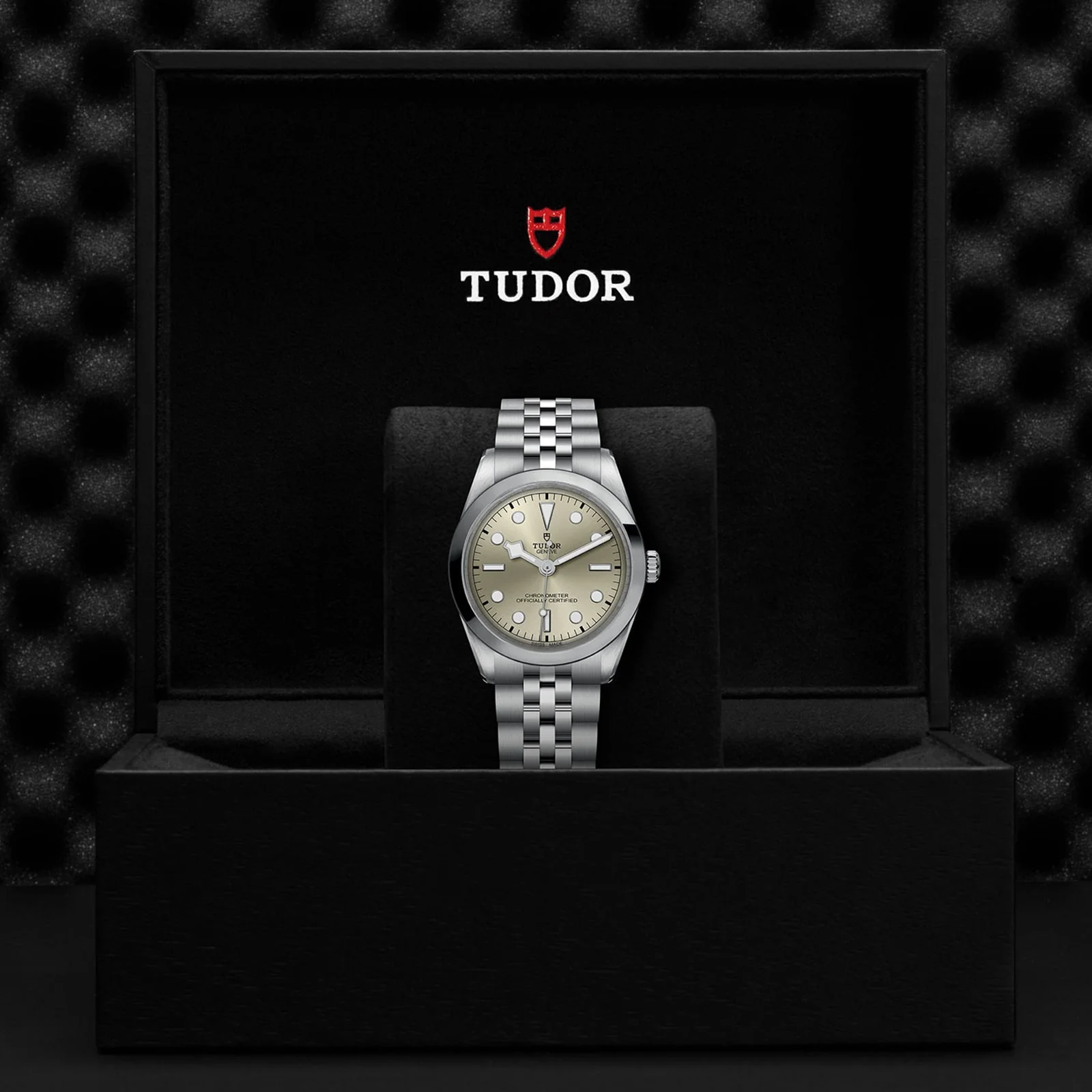 TUDOR Black Bay One 36 Women's