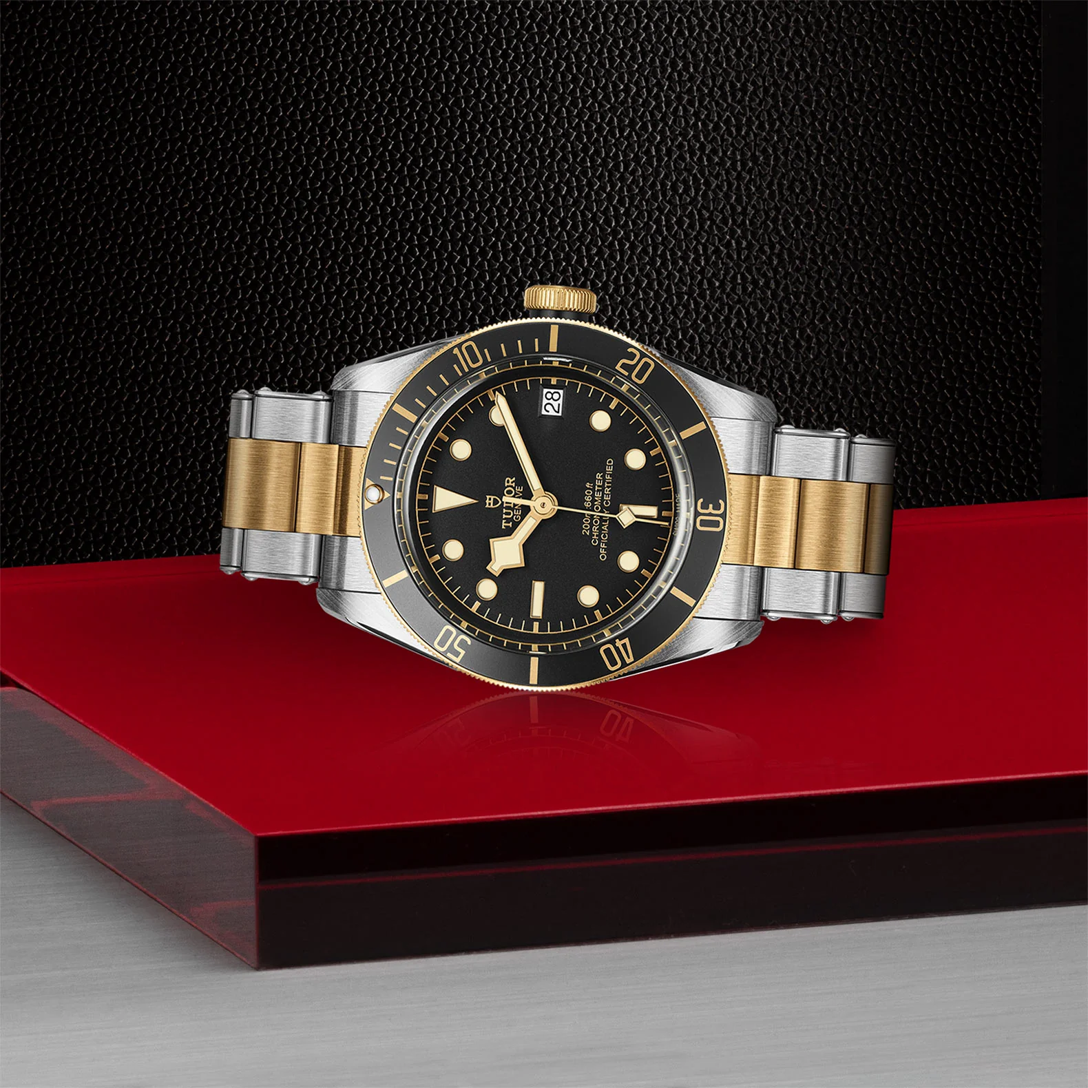 TUDOR Black Bay S&G Men's
