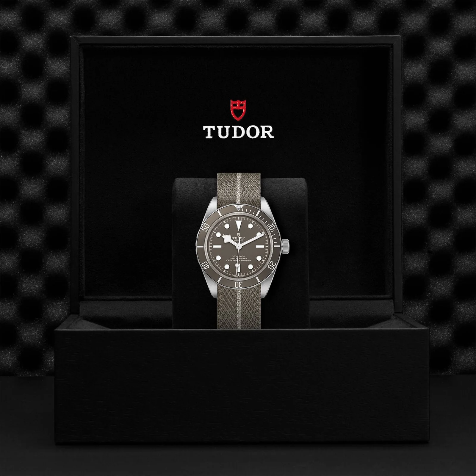 TUDOR Black Bay 58 925 Men's