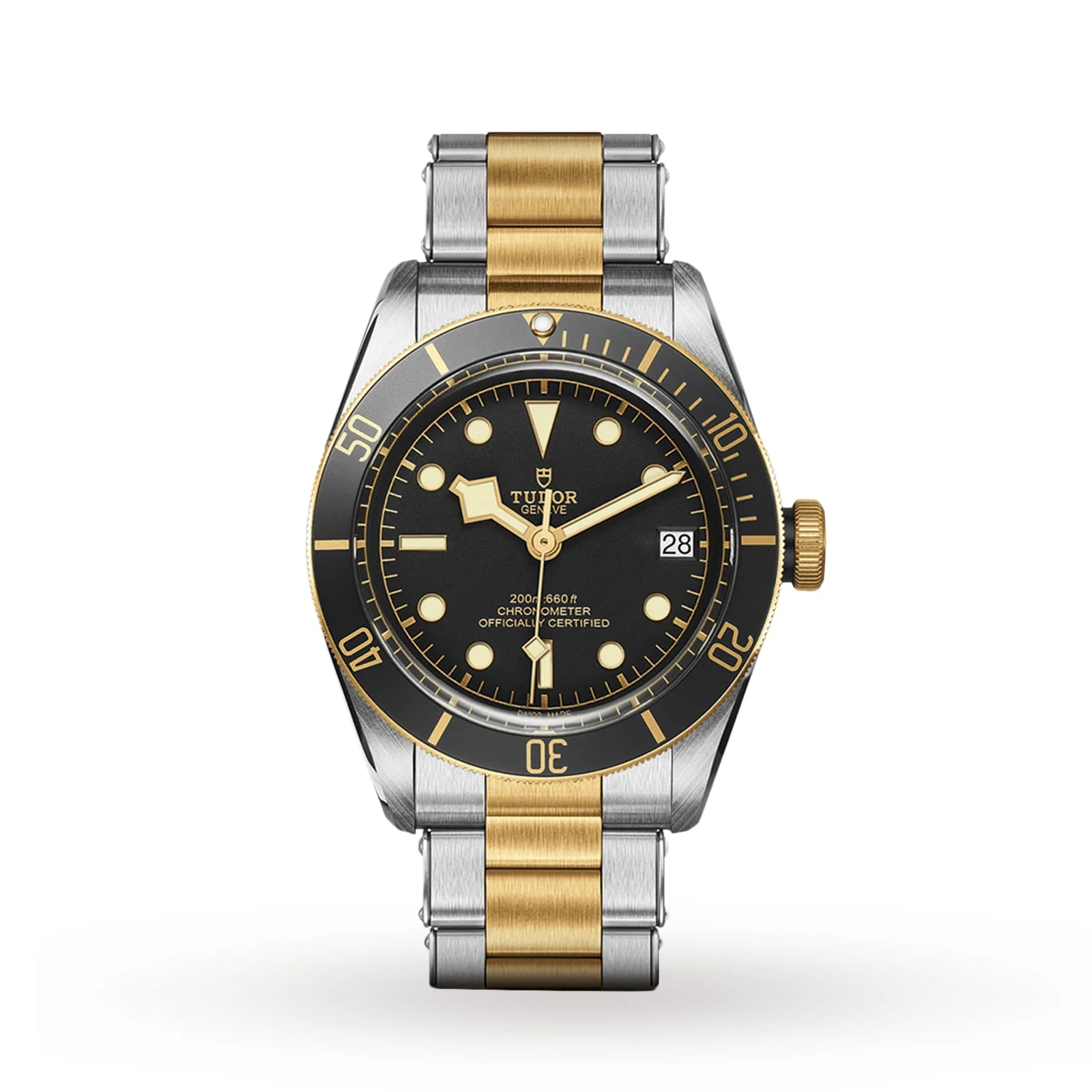 TUDOR Black Bay S&G Men's