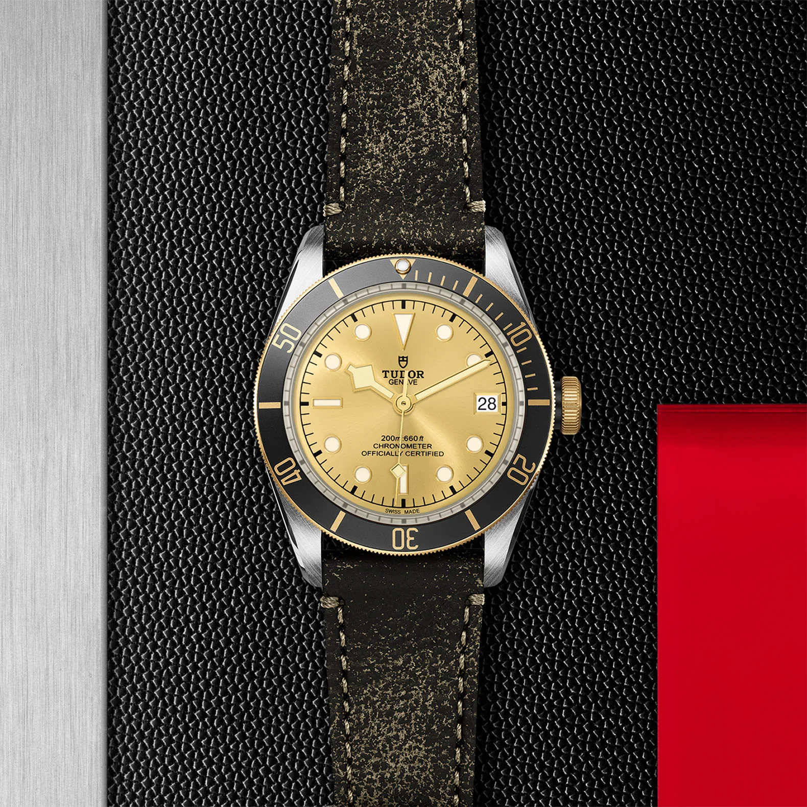TUDOR Black Bay S&G Men's