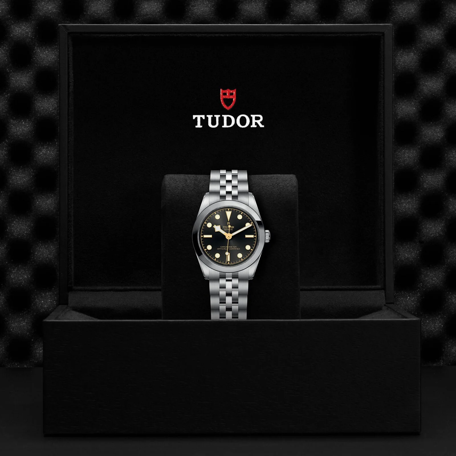 TUDOR Black Bay 31 Women's