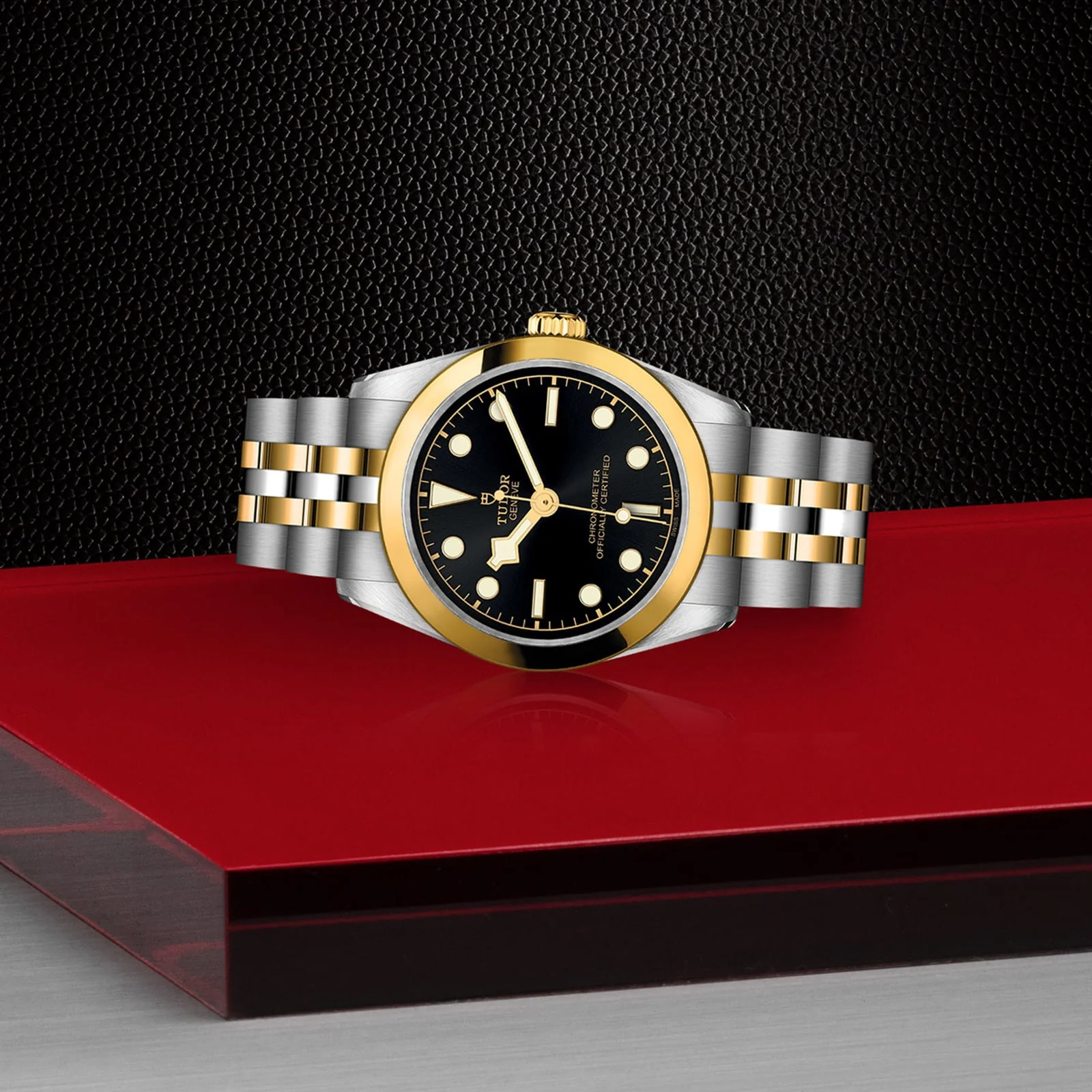 TUDOR Black Bay One 31 S&G Women's