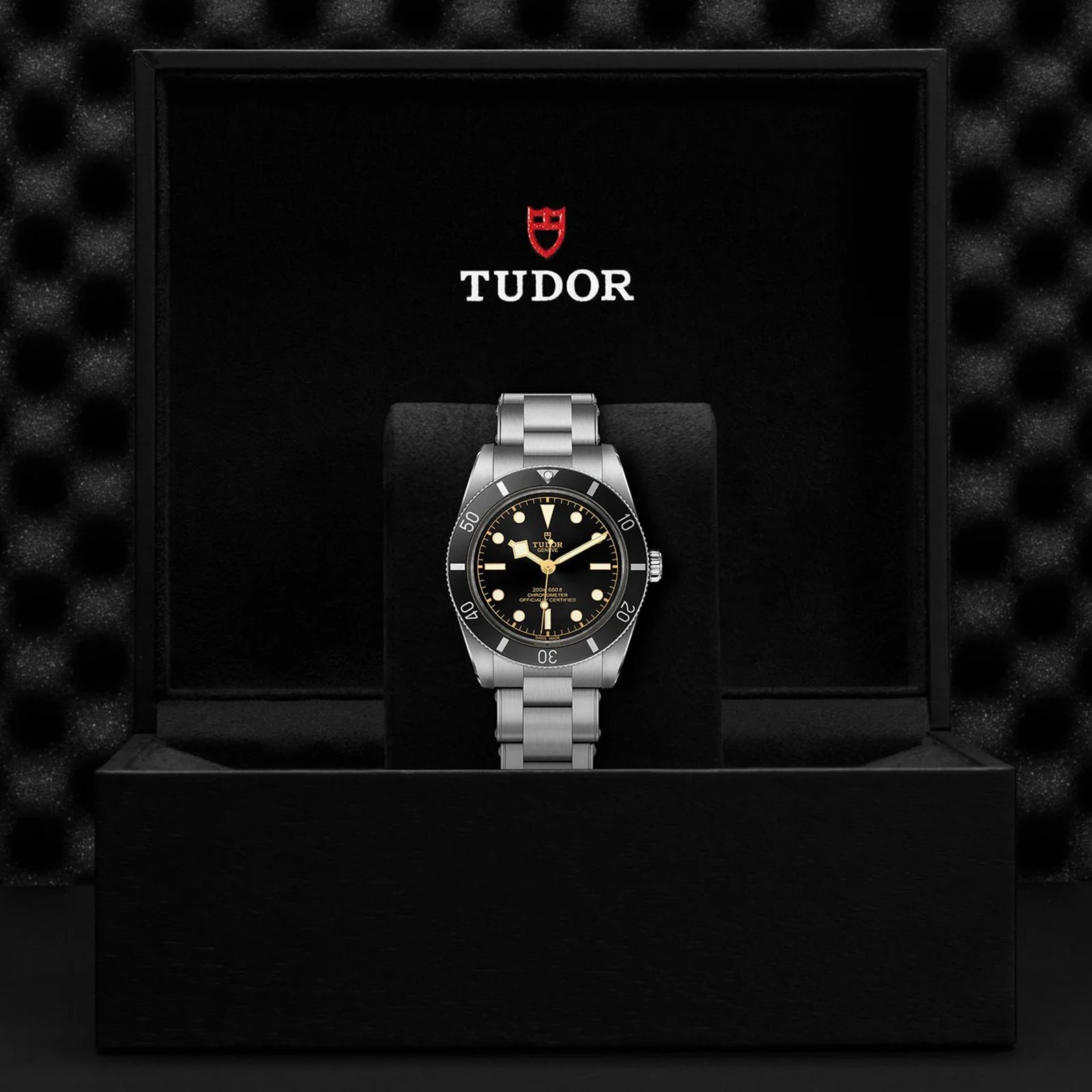 TUDOR Black Bay 54 Men's