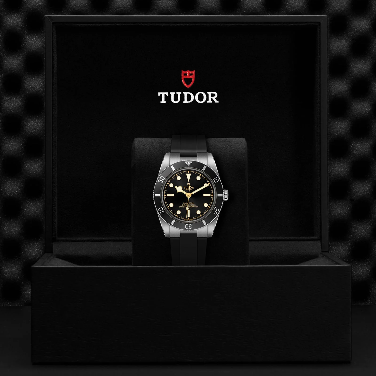 TUDOR Black Bay 54 Men's