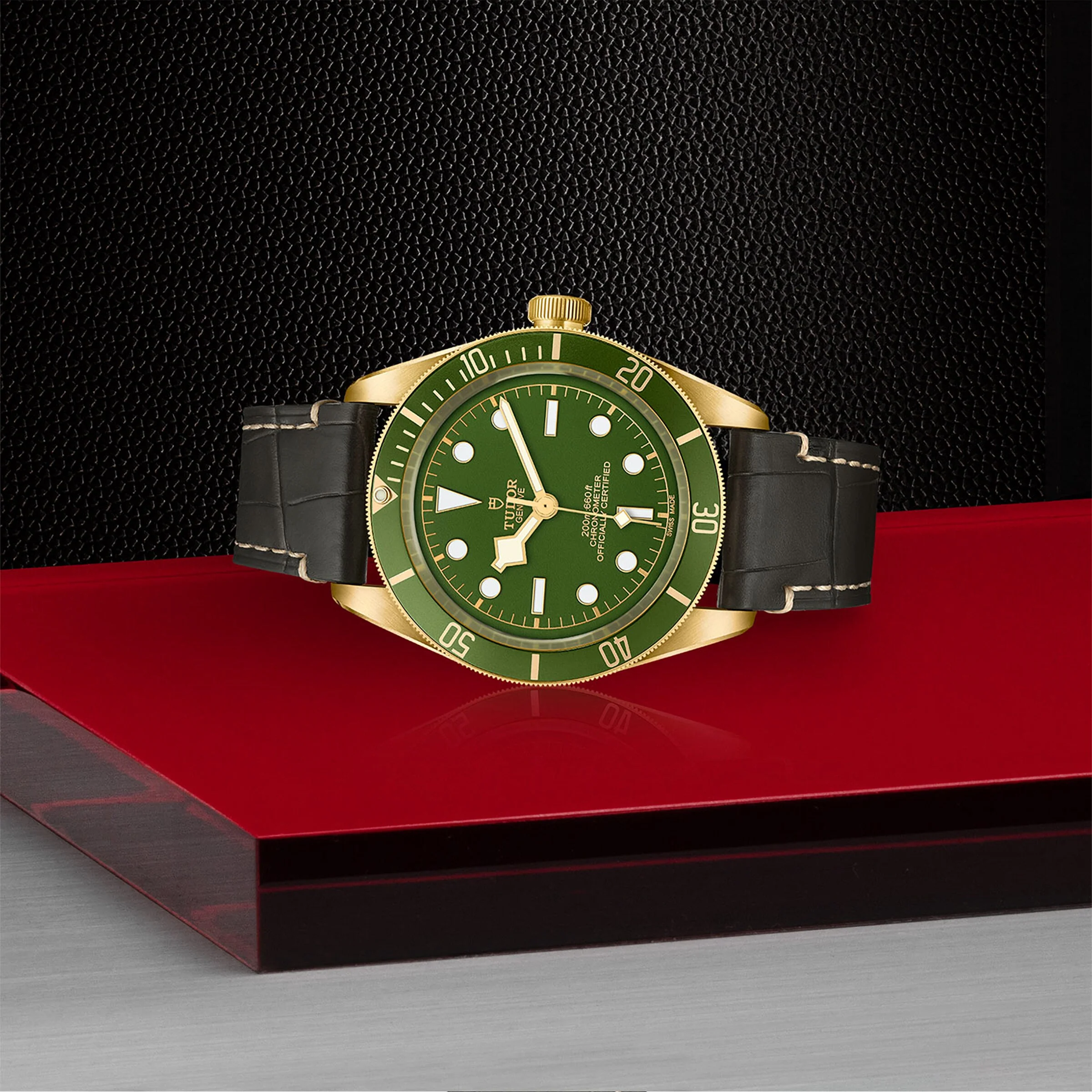 TUDOR Black Bay 58 18K Men's