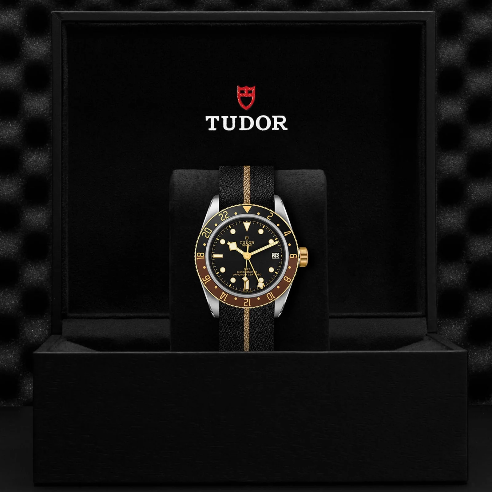 TUDOR Black Bay GMT S&G Men's