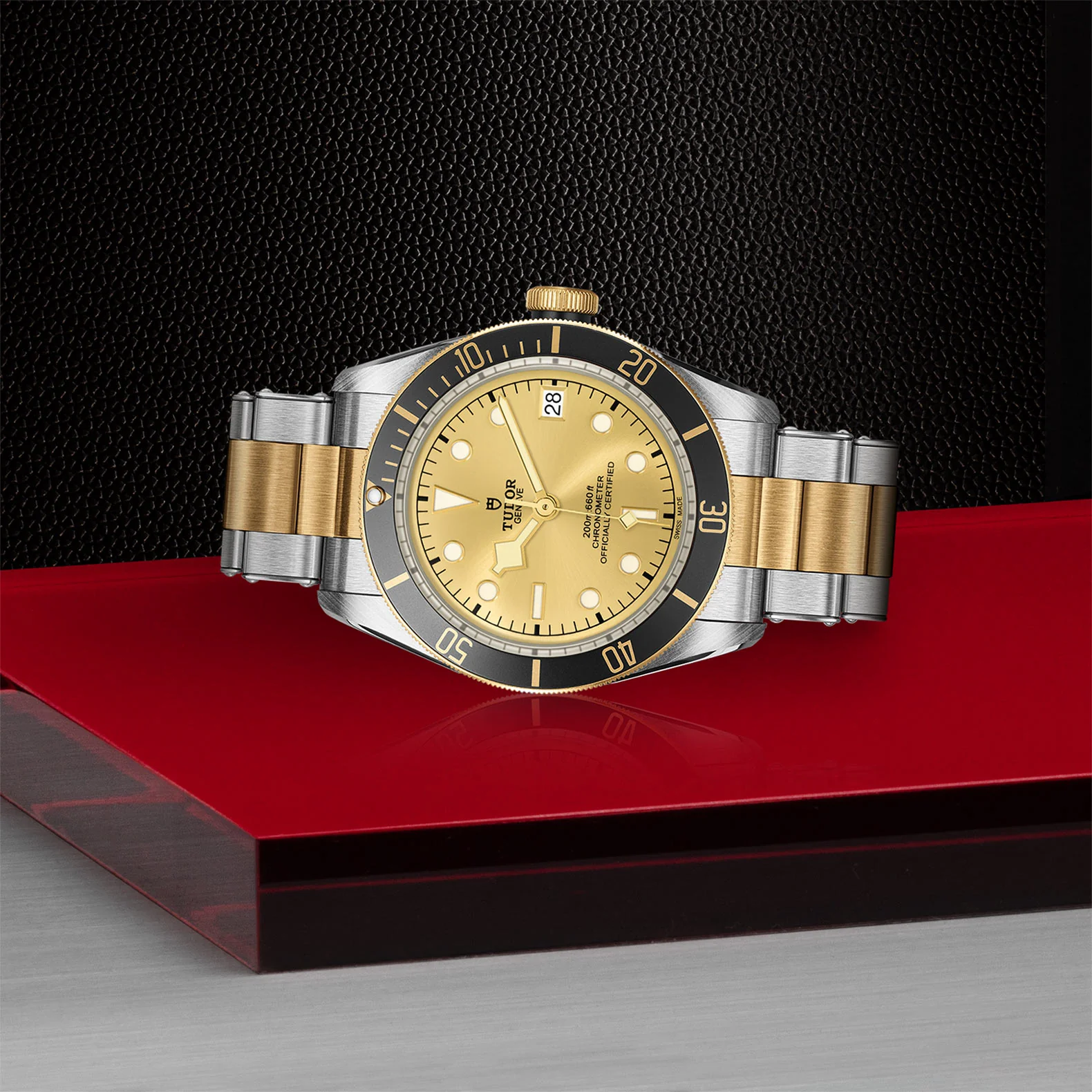 TUDOR Black Bay S&G Men's