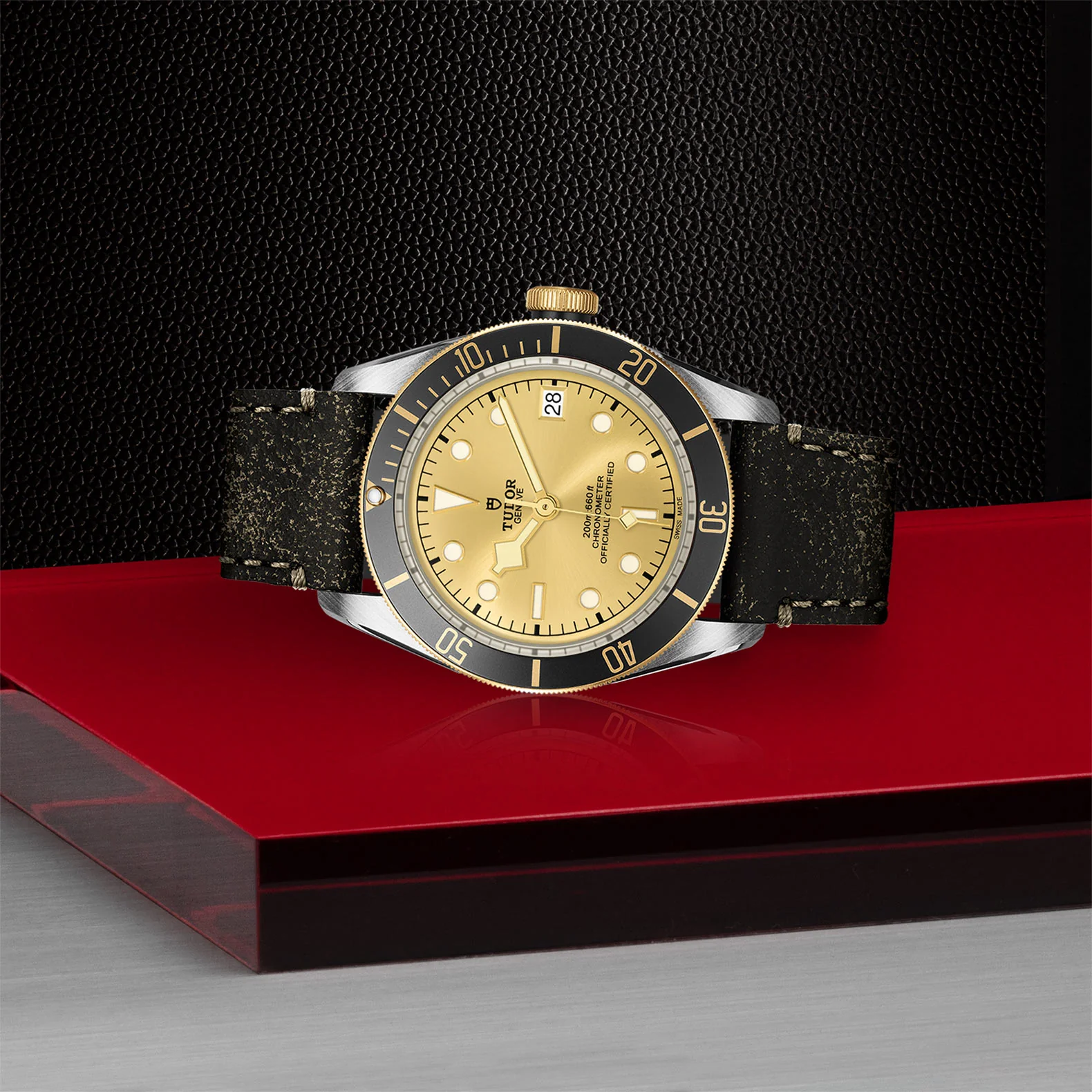 TUDOR Black Bay S&G Men's