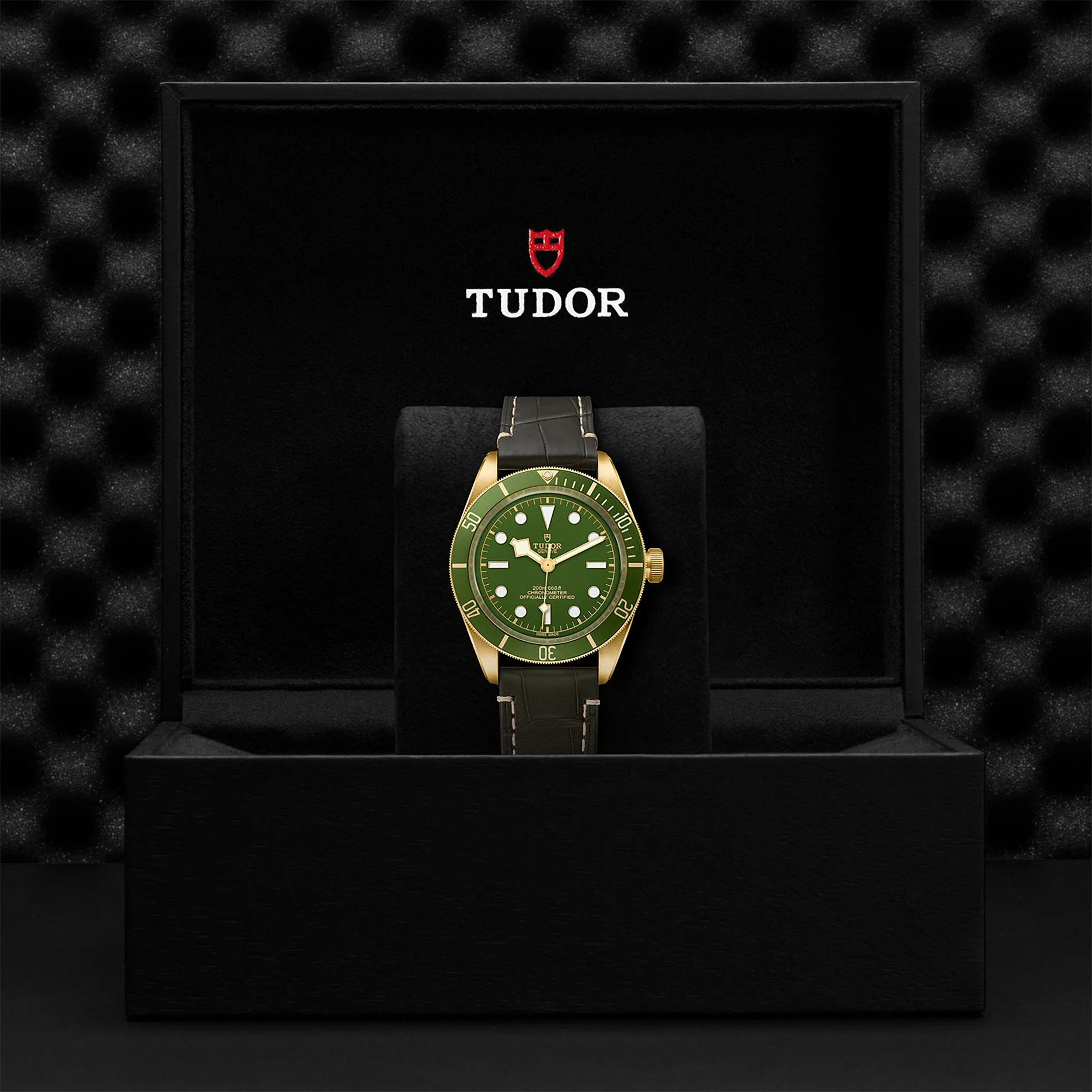 TUDOR Black Bay 58 18K Men's