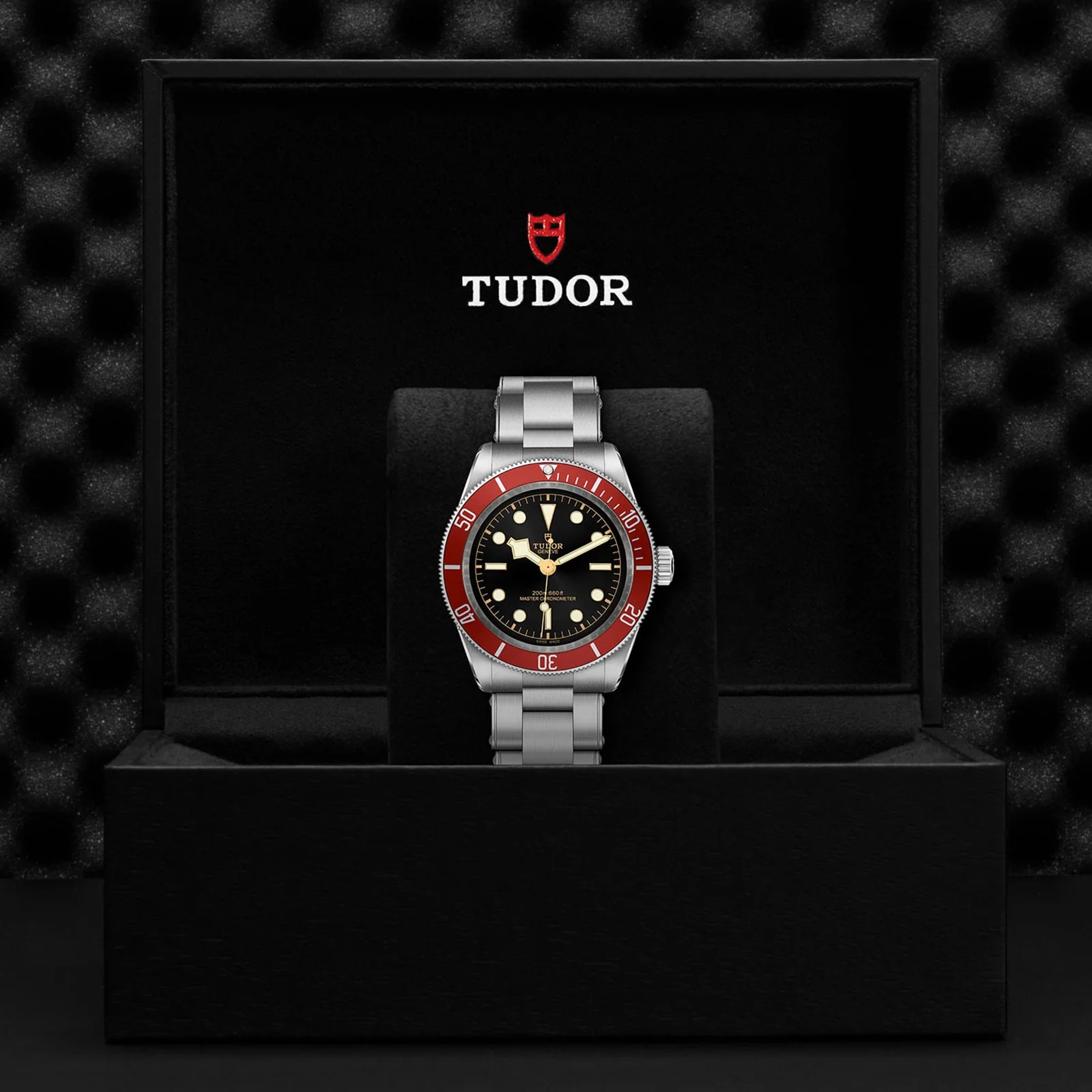 TUDOR Black Bay Men's