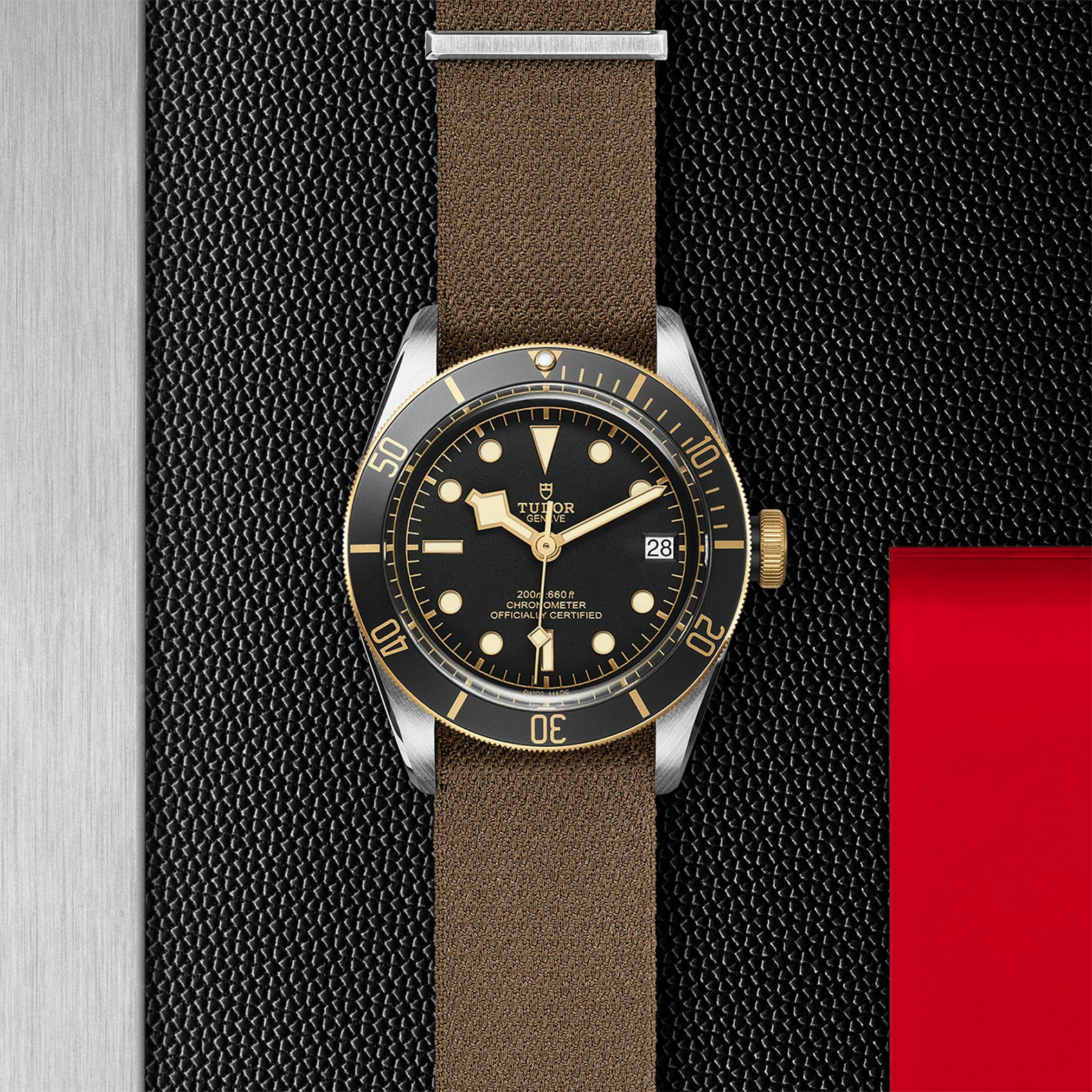 TUDOR Black Bay S&G Men's