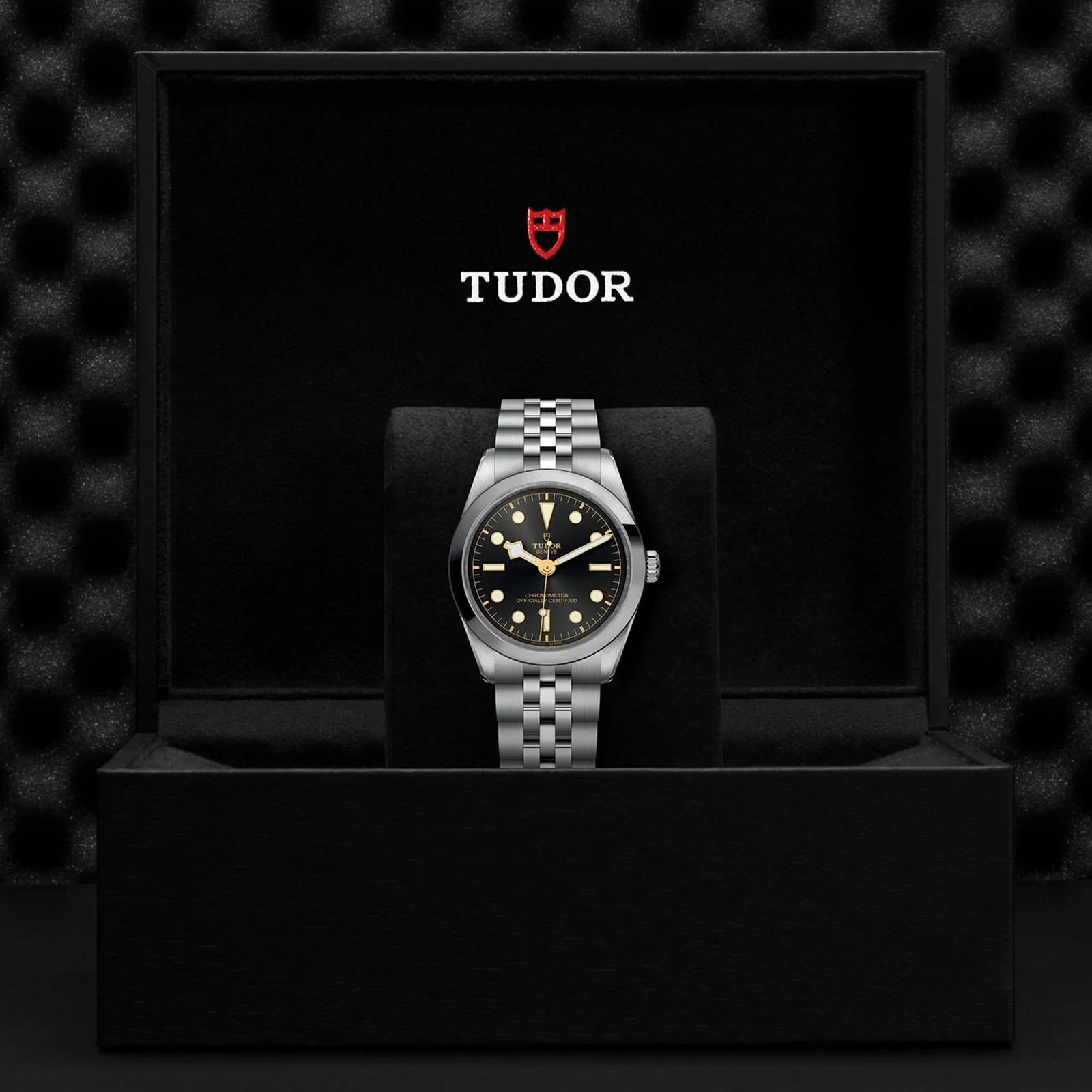 TUDOR Black Bay One 36 Women's